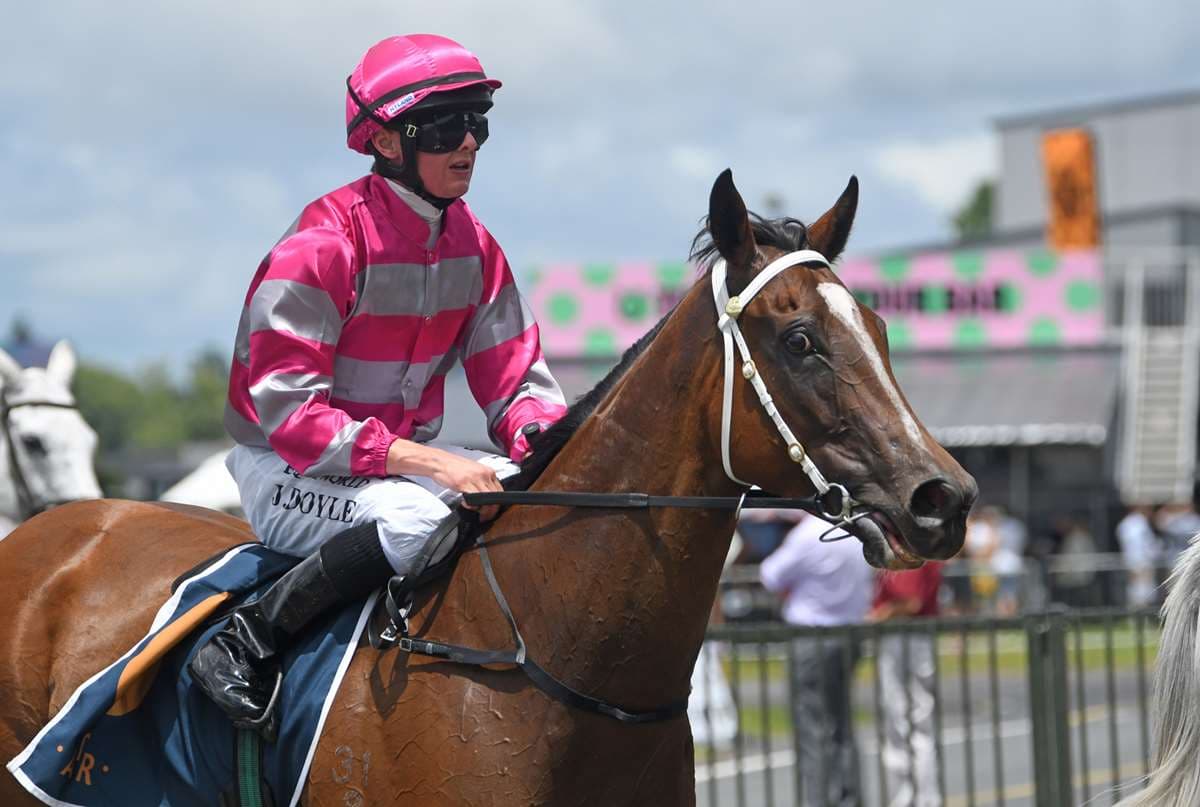 Imprevu seeking to plunder Northland riches
