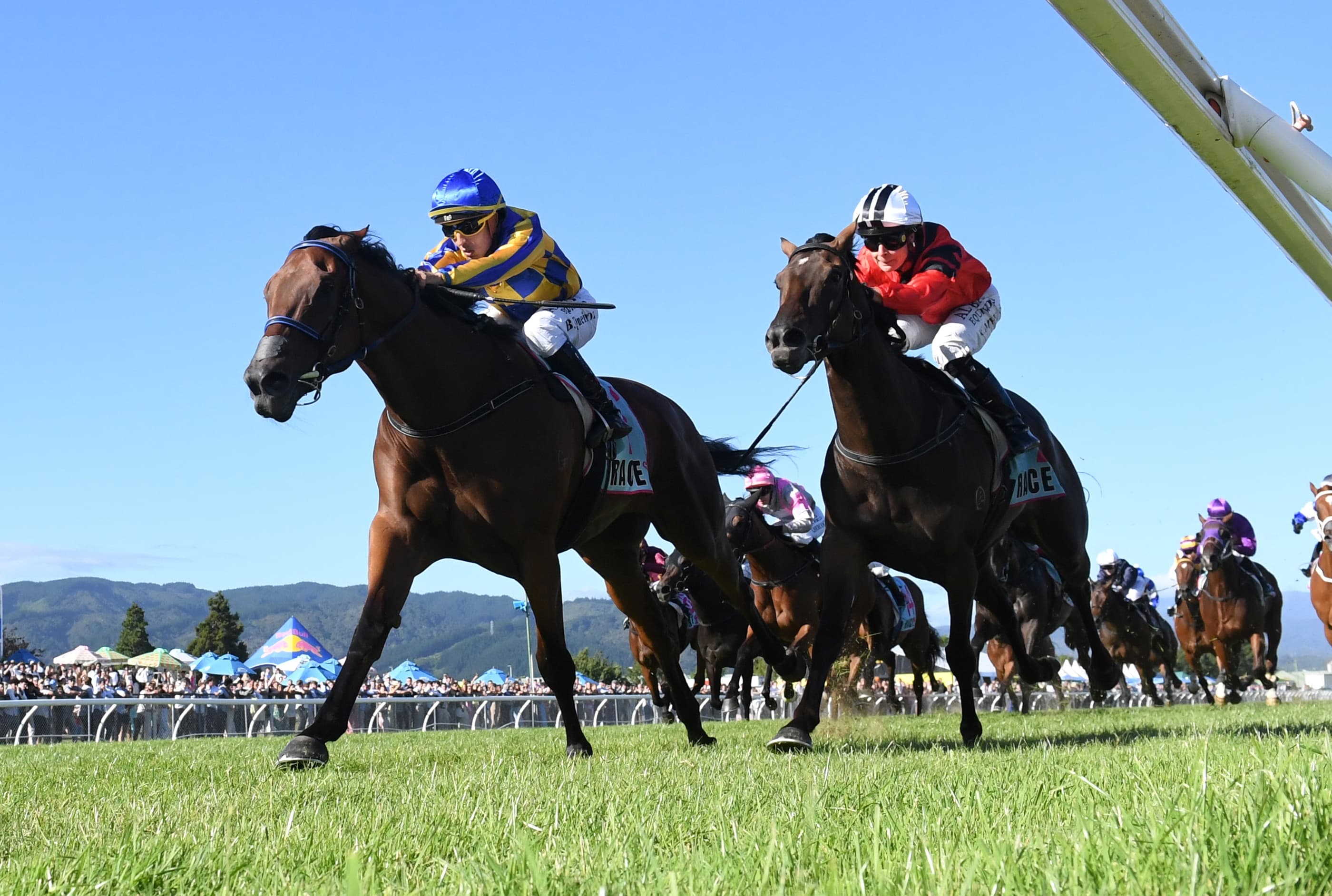Gray makes long-awaited return to Riccarton