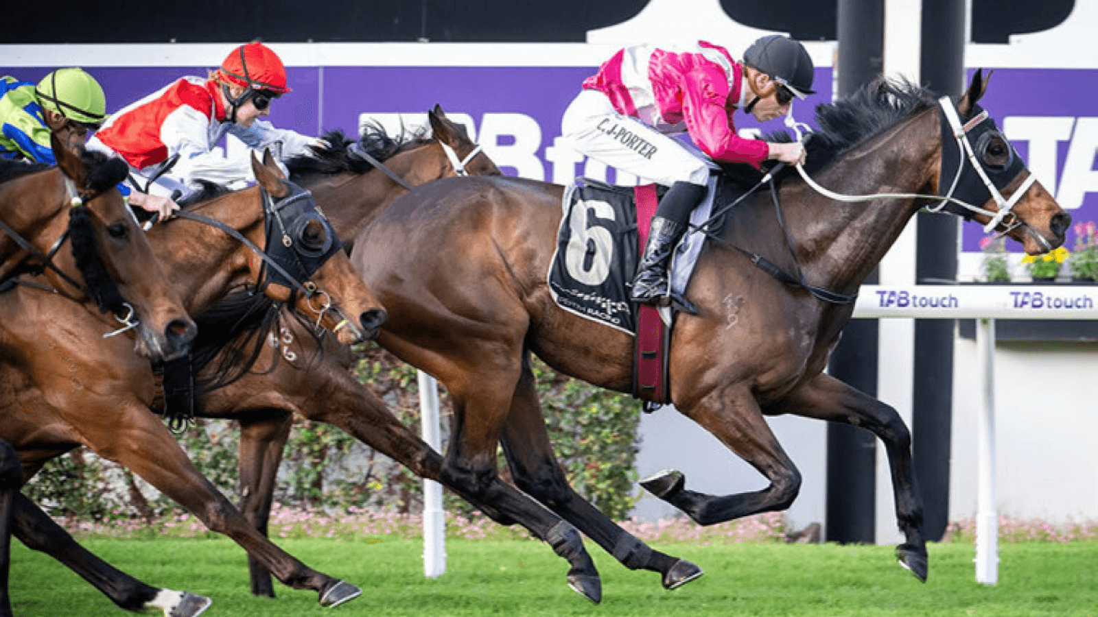 YES or NO: Which horse can win the Railway Stakes