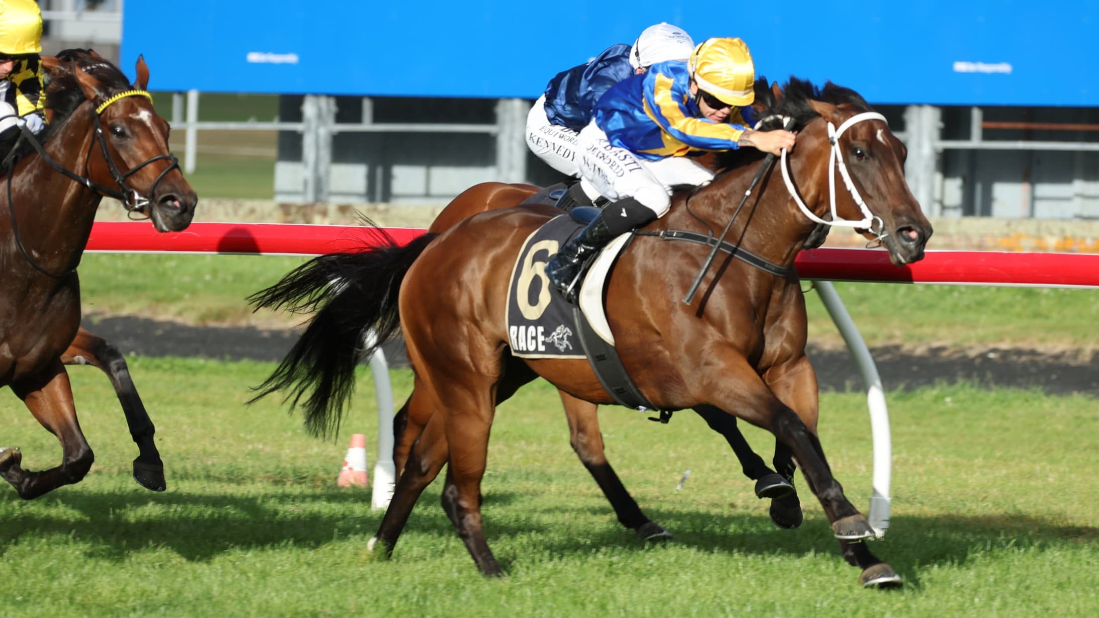 Little Lady on target for Breeders’ Stakes