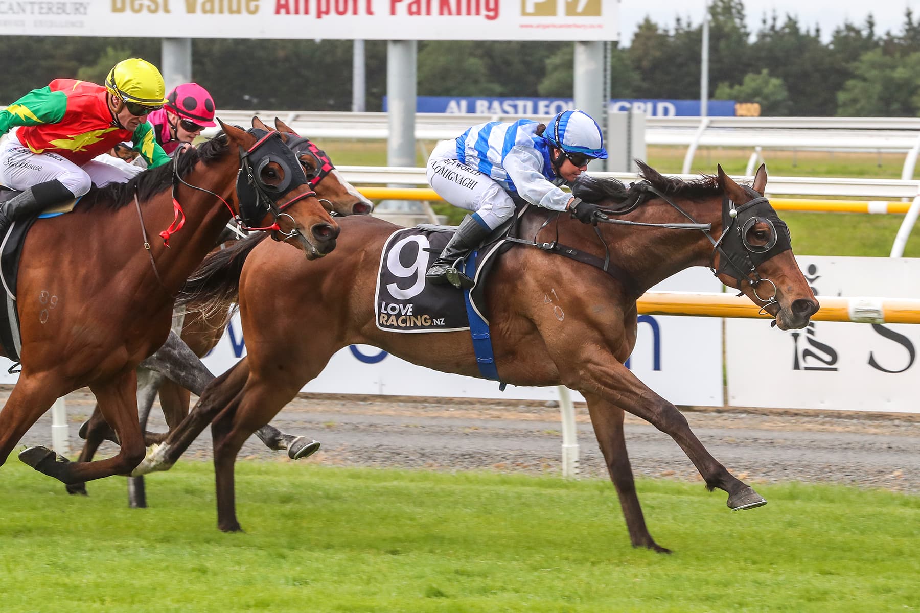 NZ Cup Week double for Sunset Boulevard