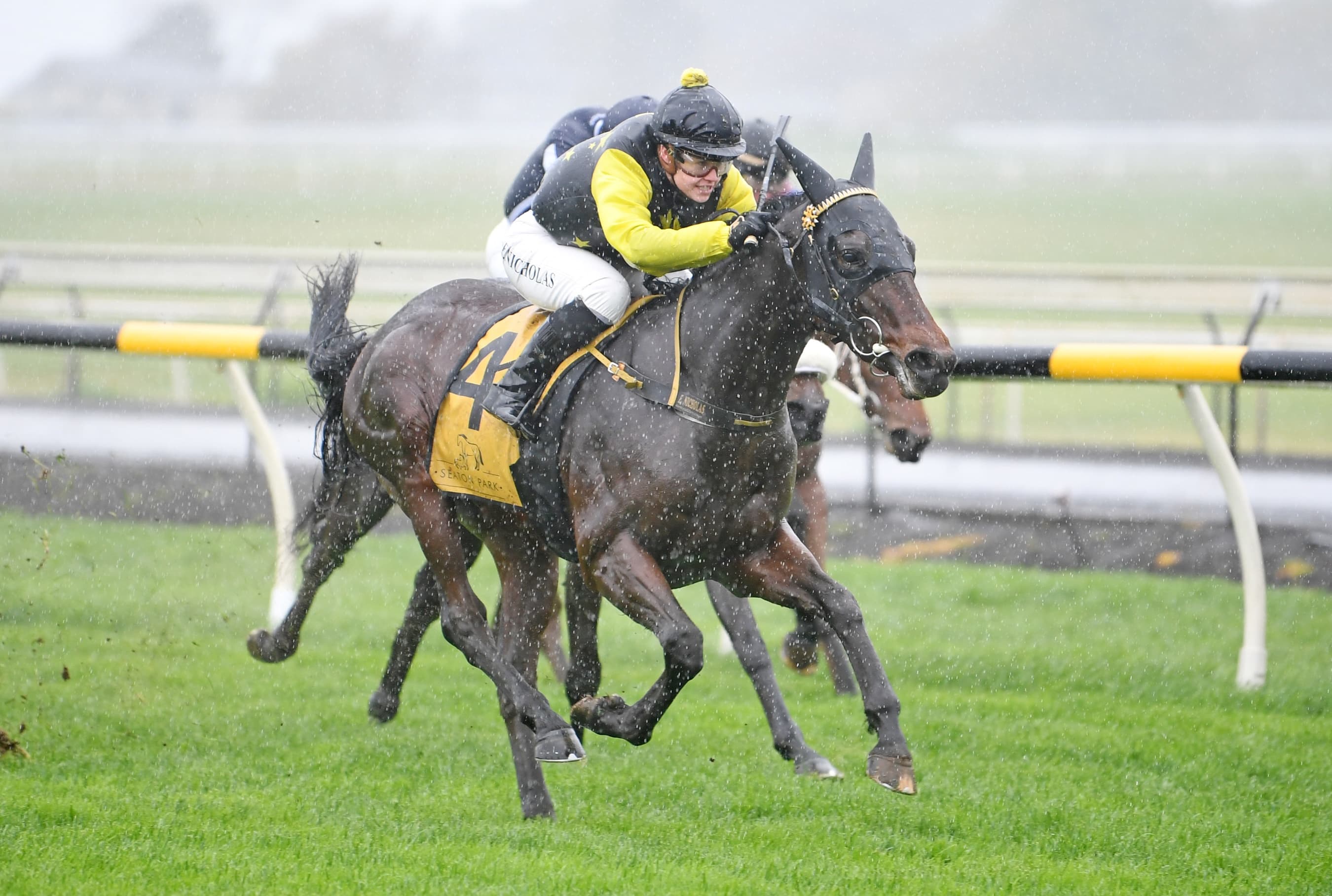 The little horse that could eyes Derby crown