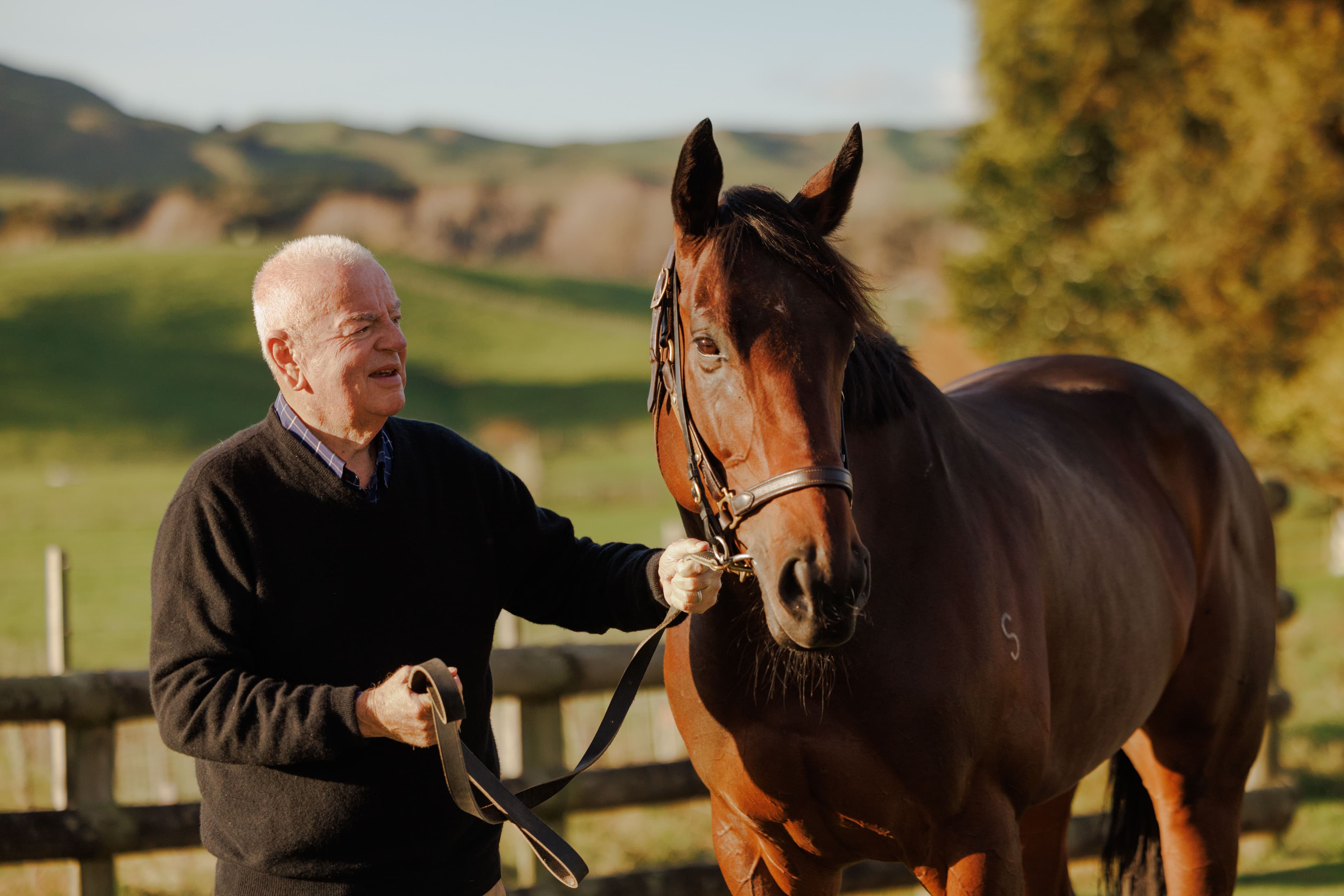 Te Akau Racing founder knighted in King's Birthday Honours