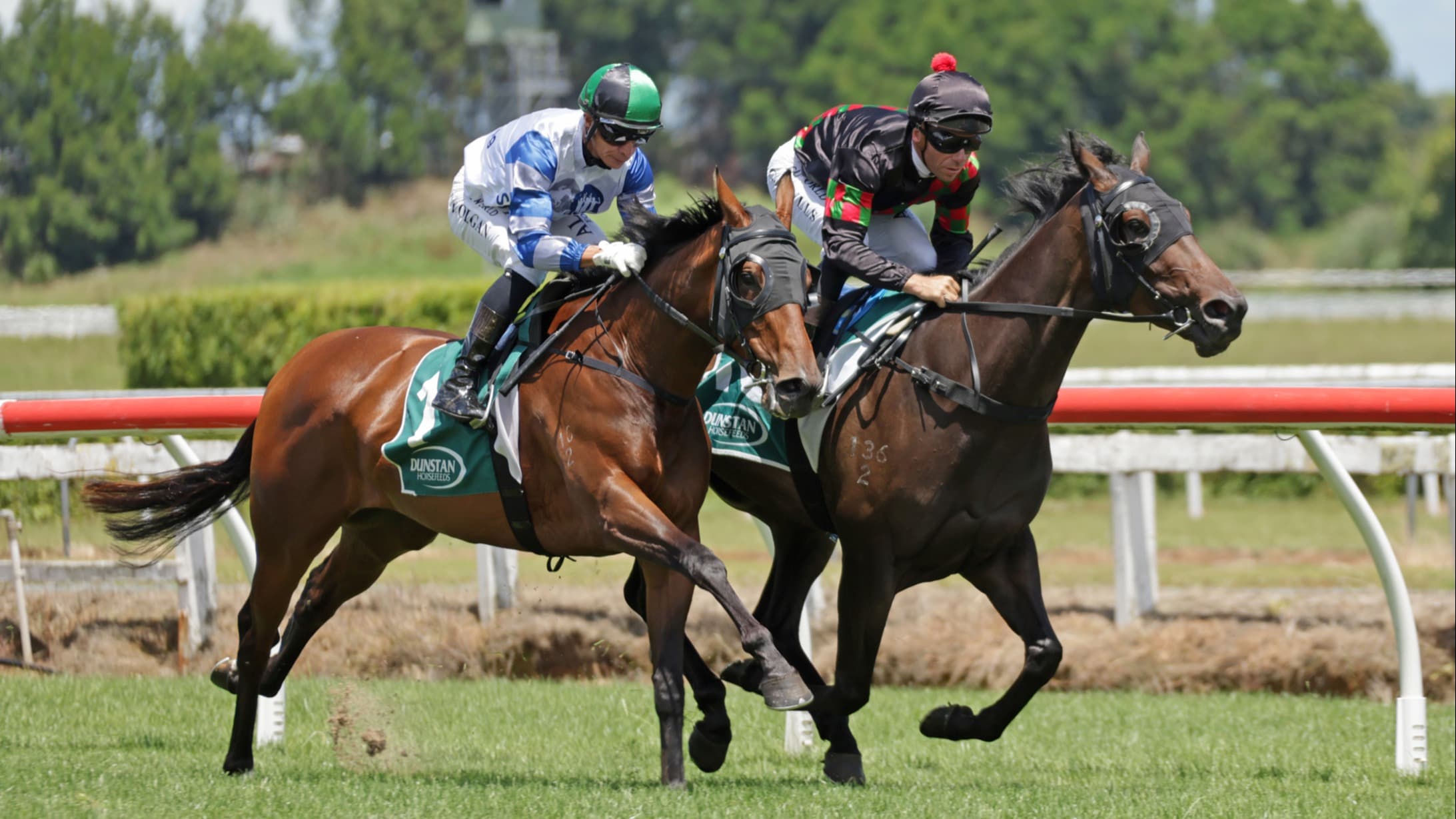 Stablemates primed for Karaka Millions 3YO