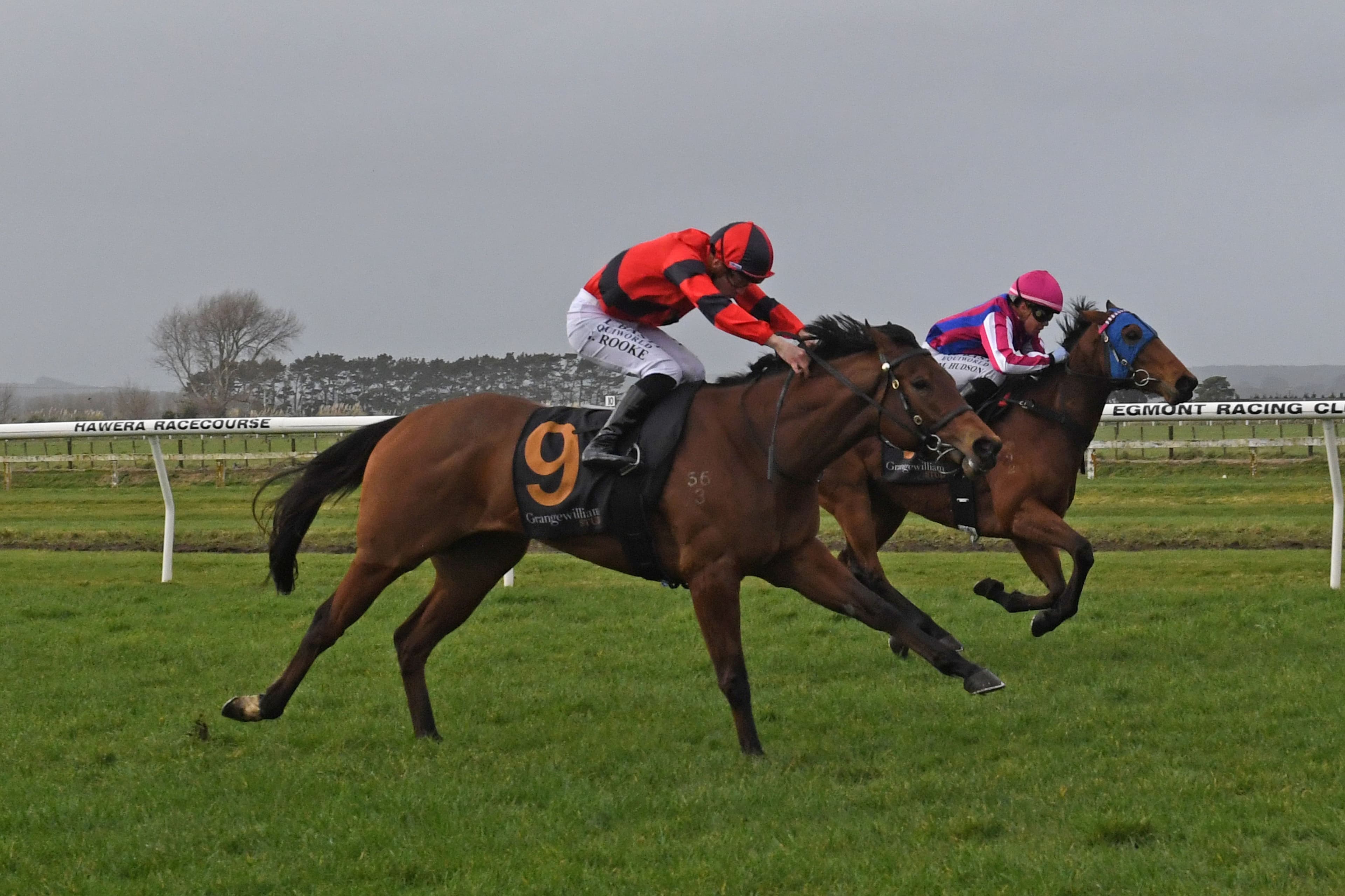 Debutant makes no secret of ability at Hawera
