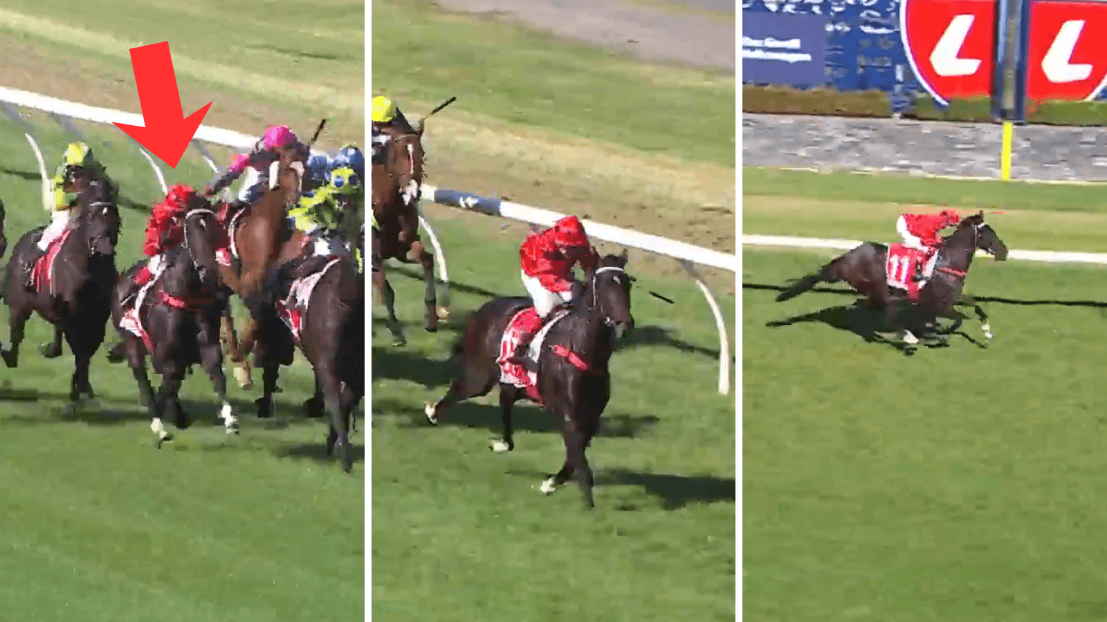 Freedman's exciting 3YO who is a potential futures play