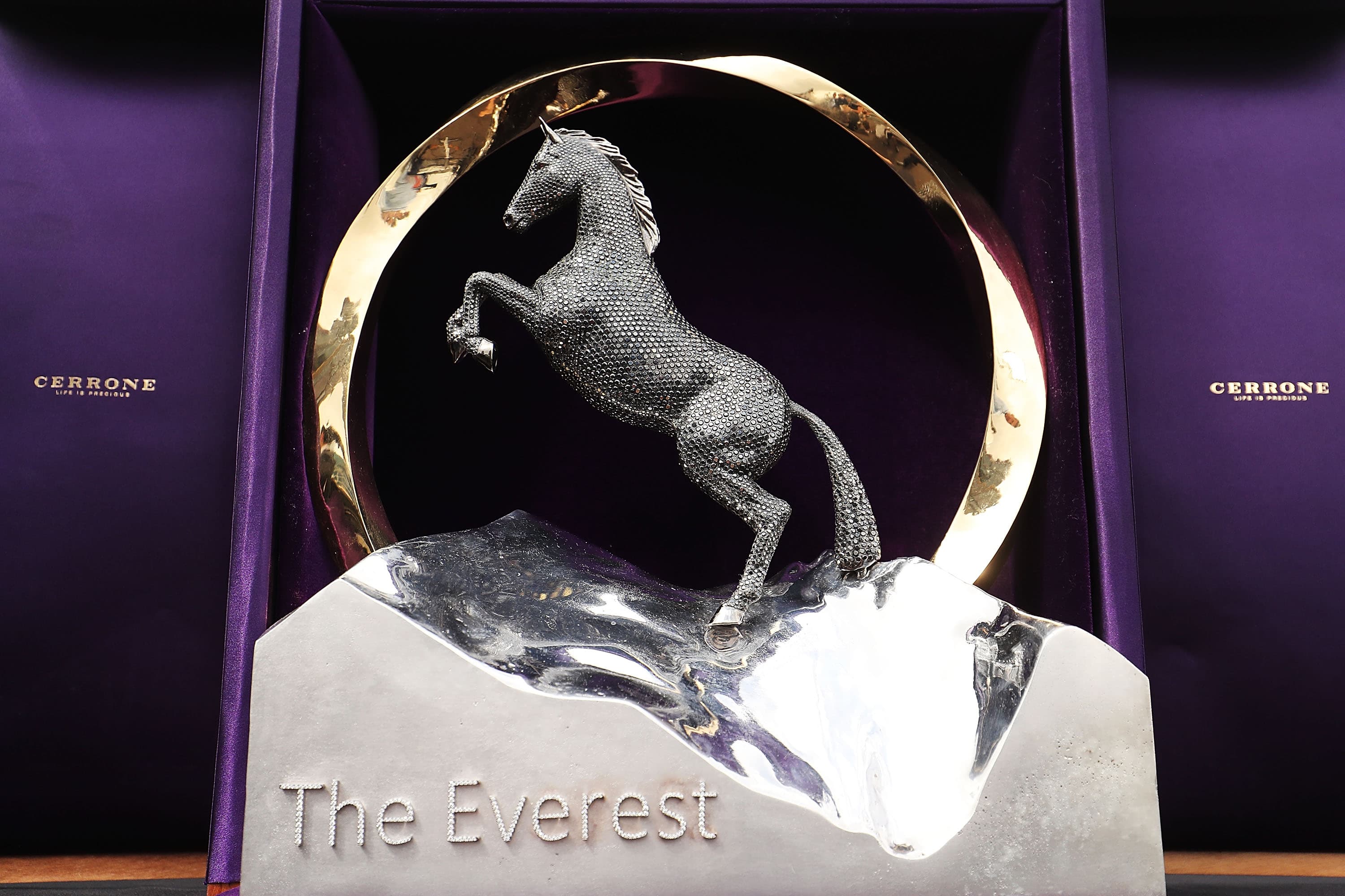 The Everest barrier draw date and time: Field, horses favourite