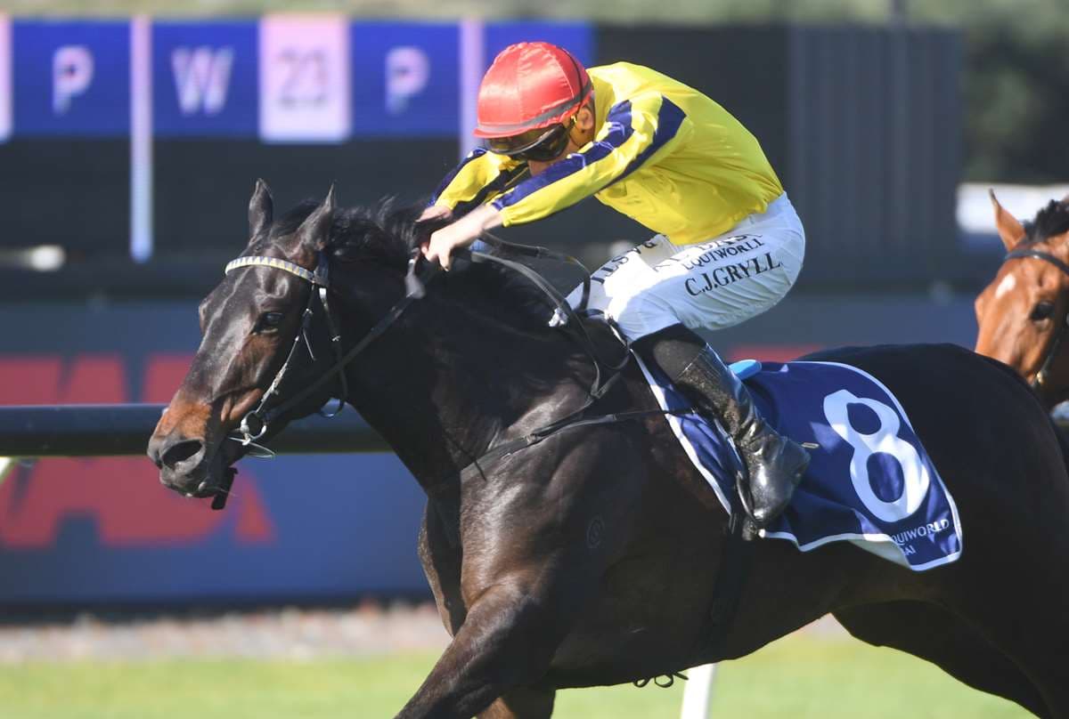 Craig Grylls’ standout season brings Jockey Of The Year award
