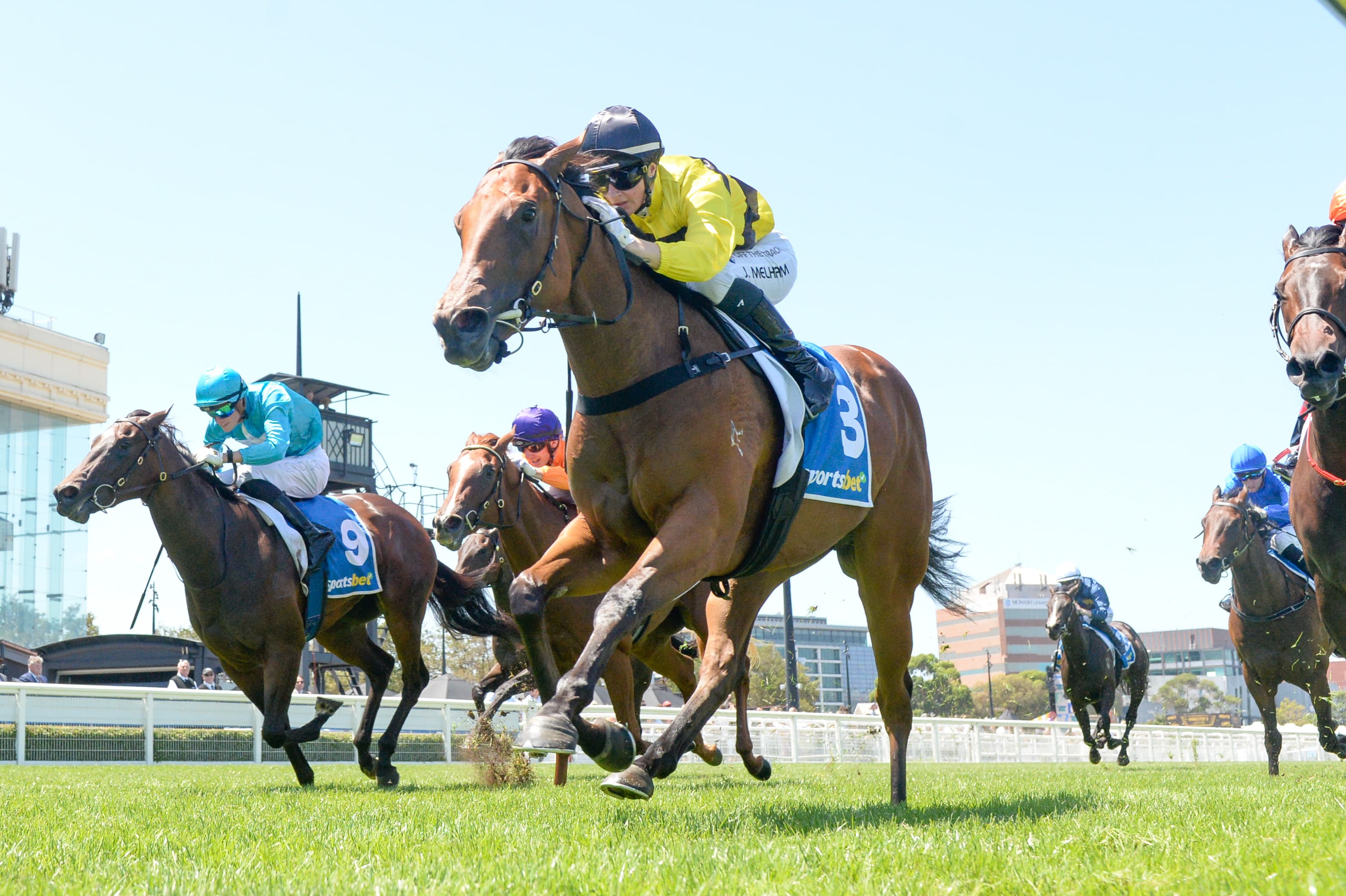 Full Finishing Order: See where each horse finished in the Blue Diamond Stakes