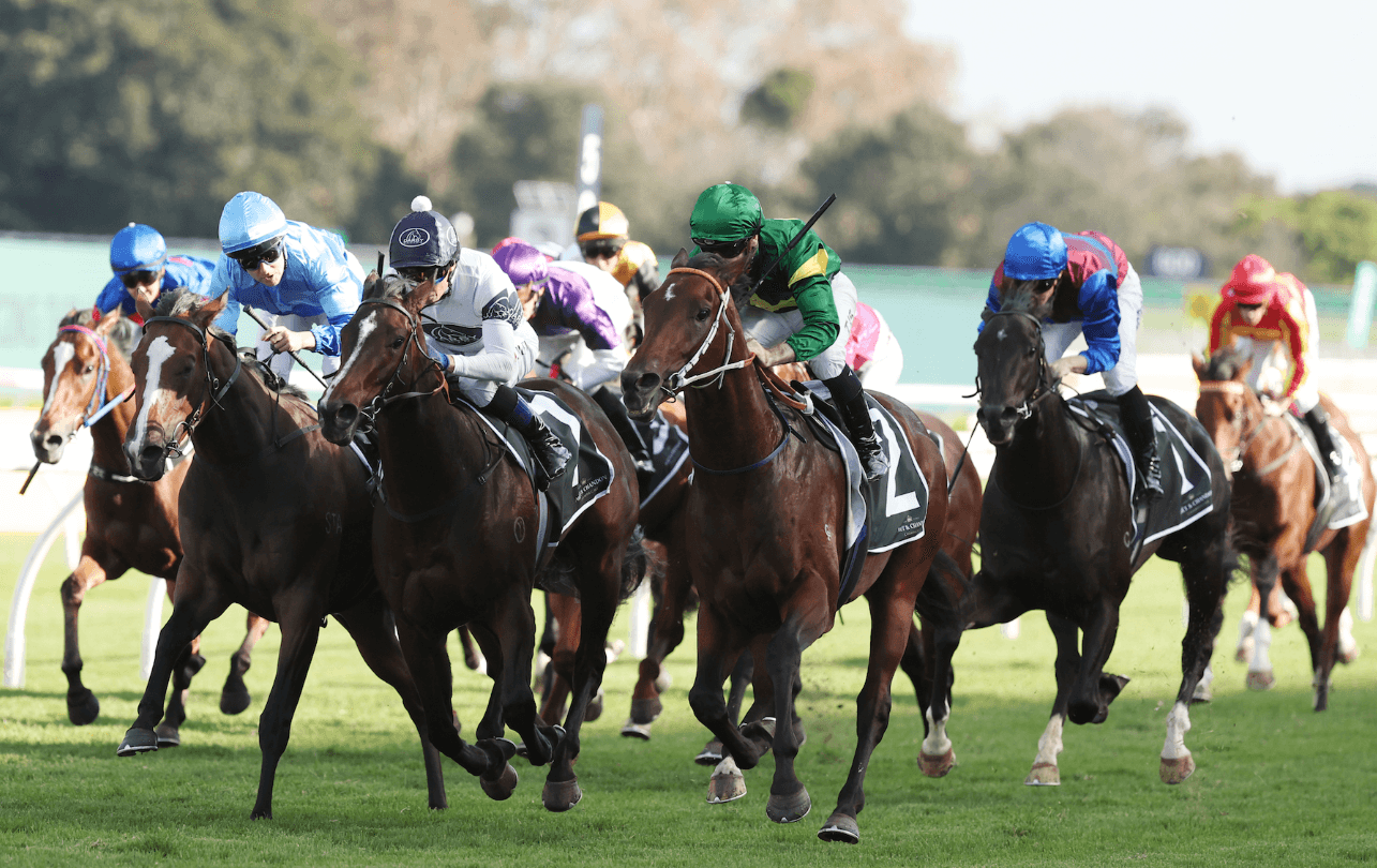 The top three horses to watch at Rosehill on Saturday