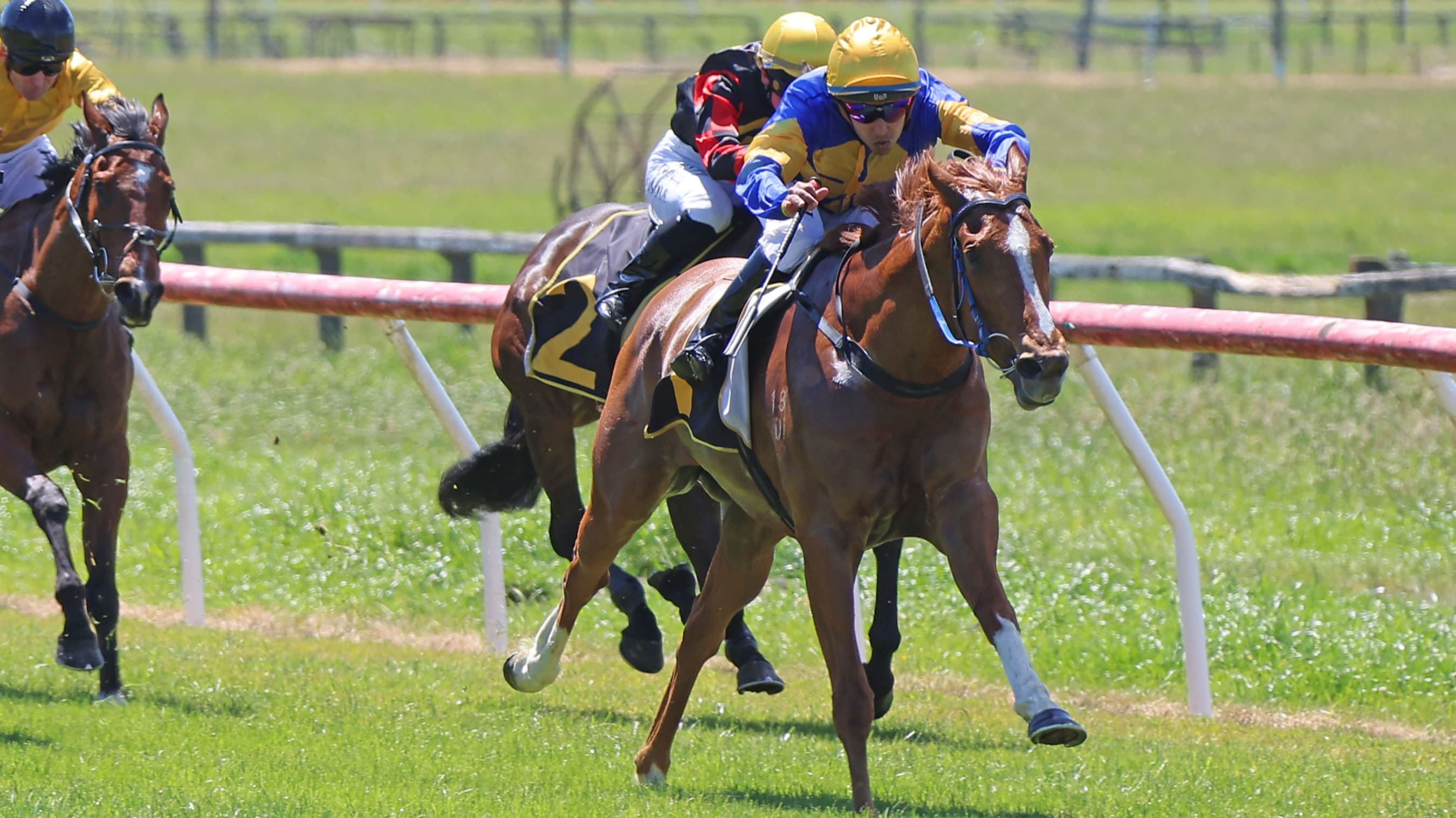 Driftin sprints to impressive upset at Tauherenikau