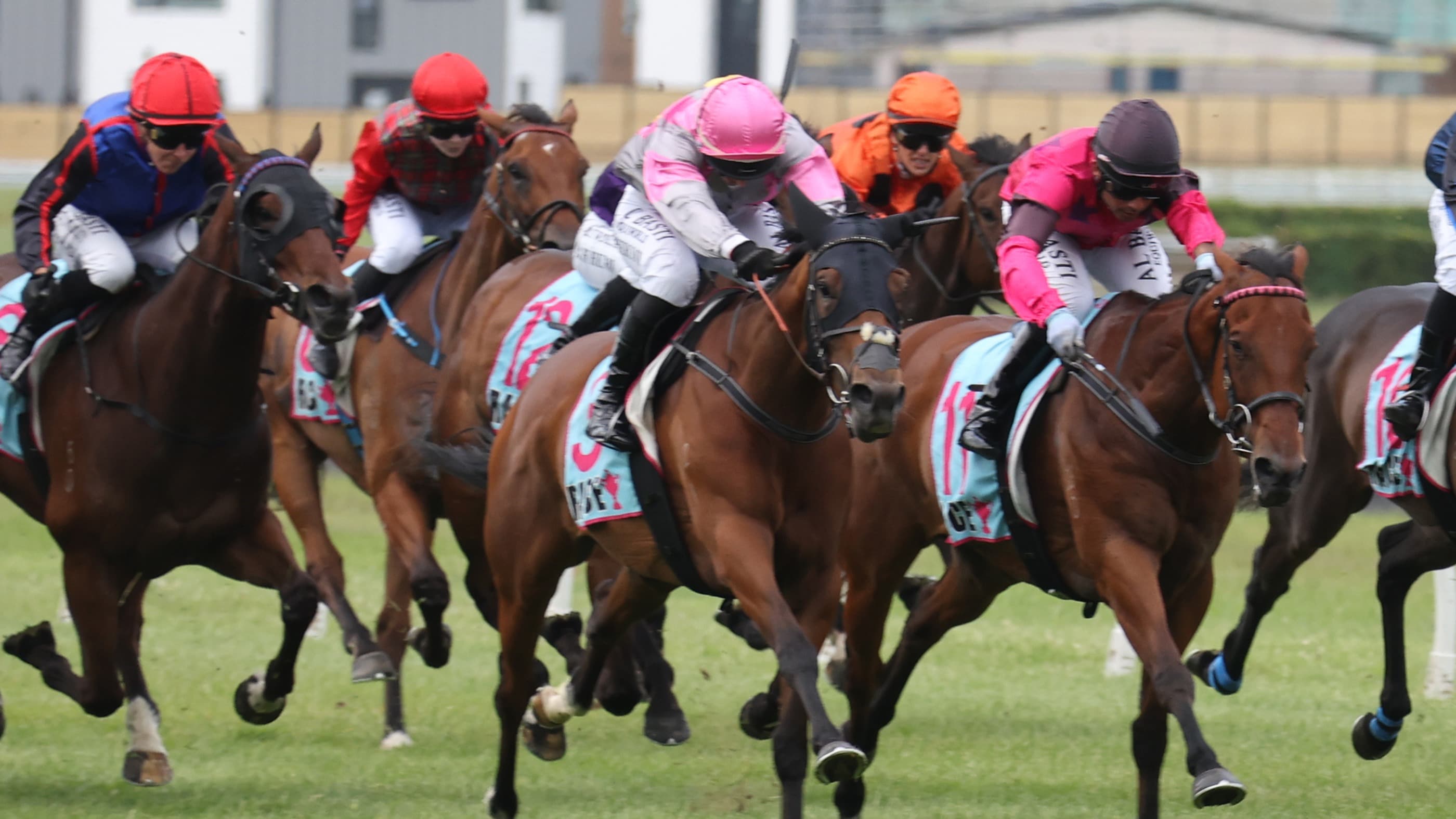 Girl Talk earns stakes tilt