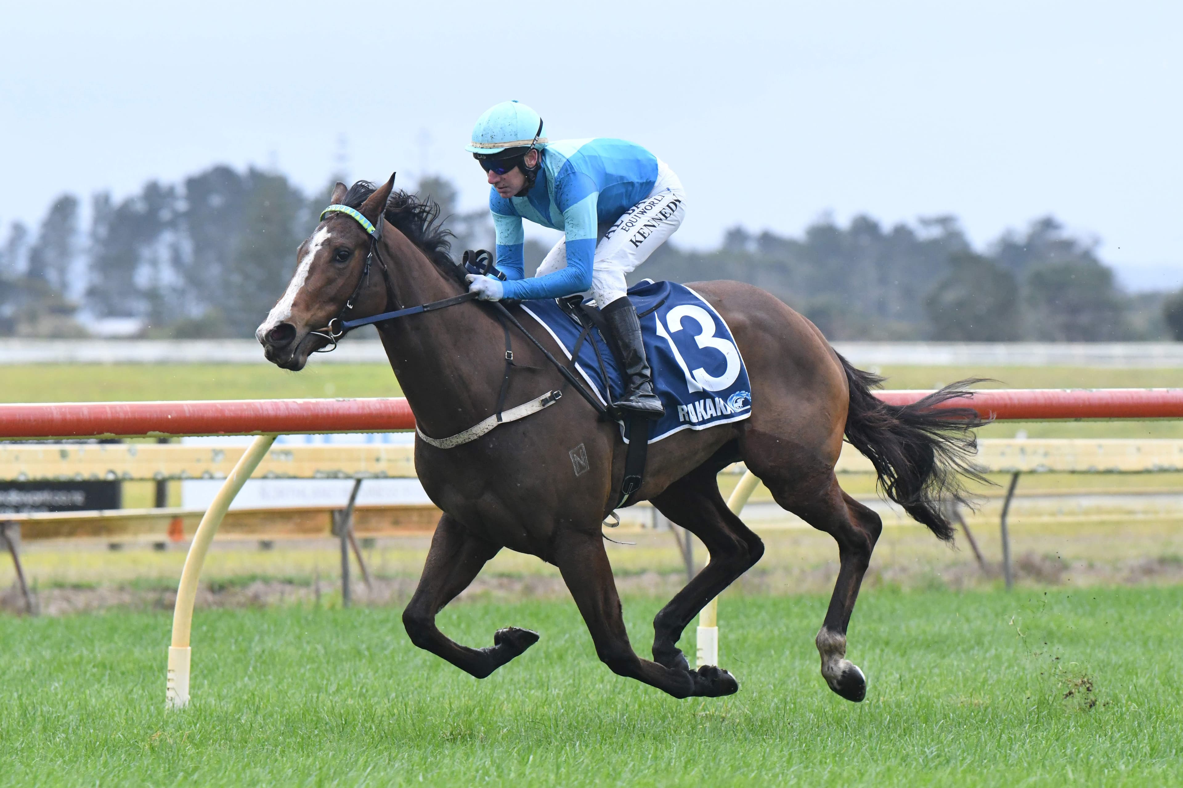 Weanling buy an inspired purchase