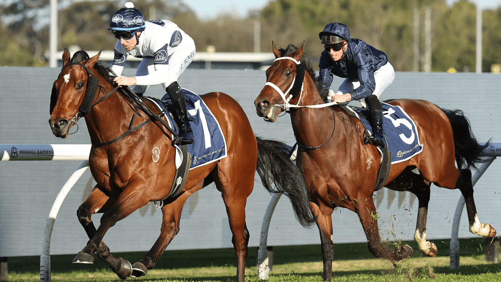 Why Wodeton didn't protest San Domenico loss
