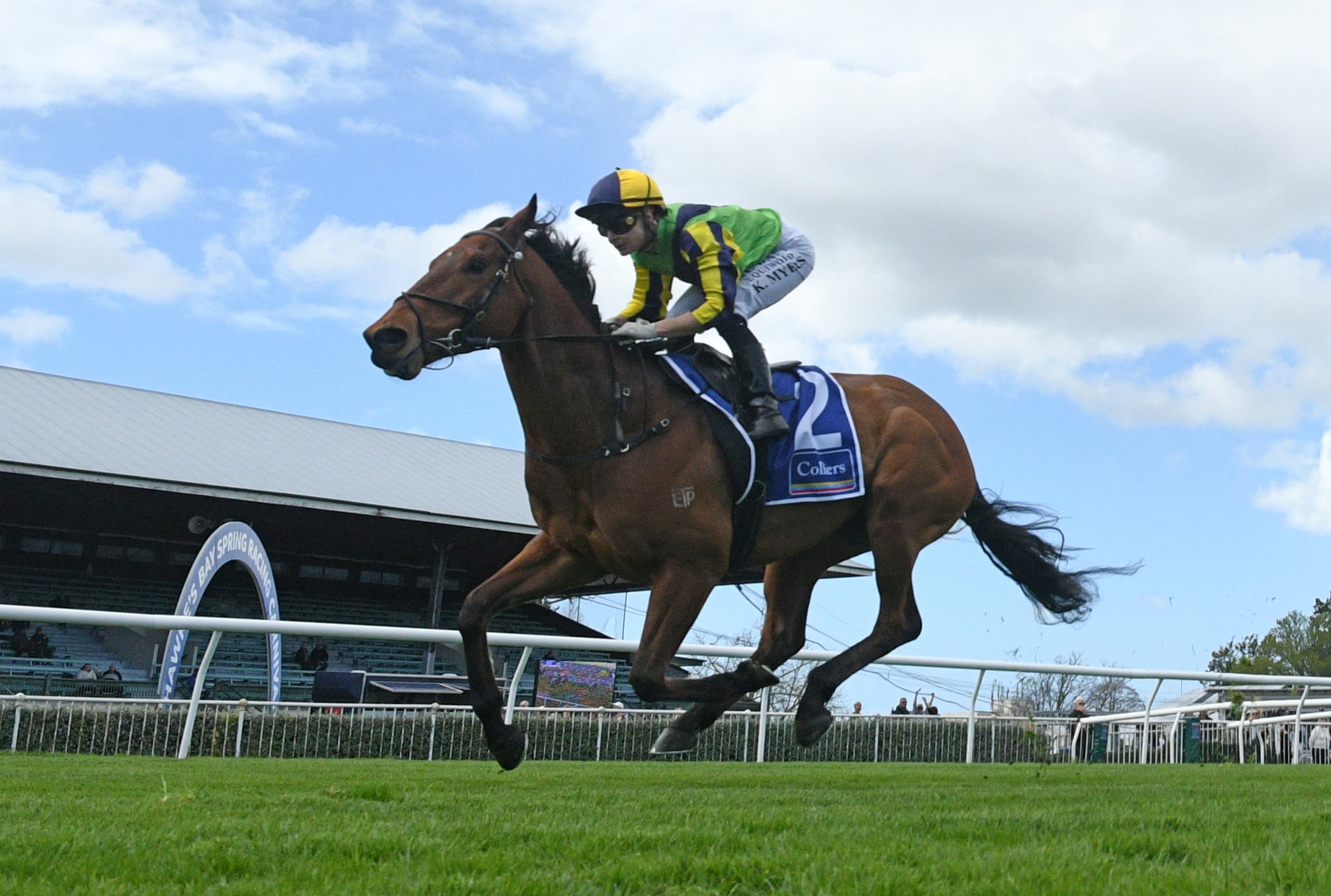 Highly regarded Zorero in tip-top order
