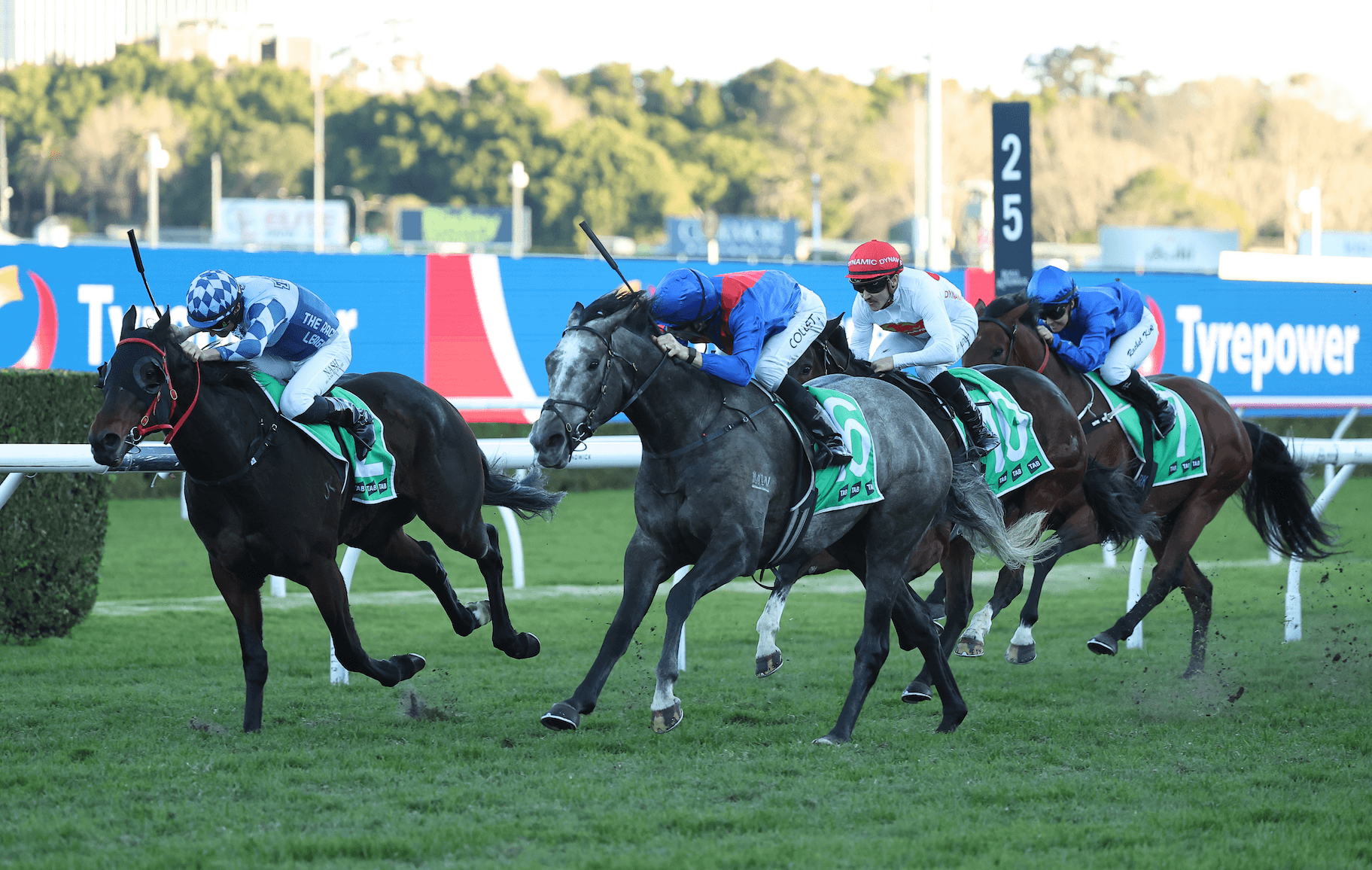 “In excellent order”: Mick Gannon's Saturday best at Randwick (25/04)