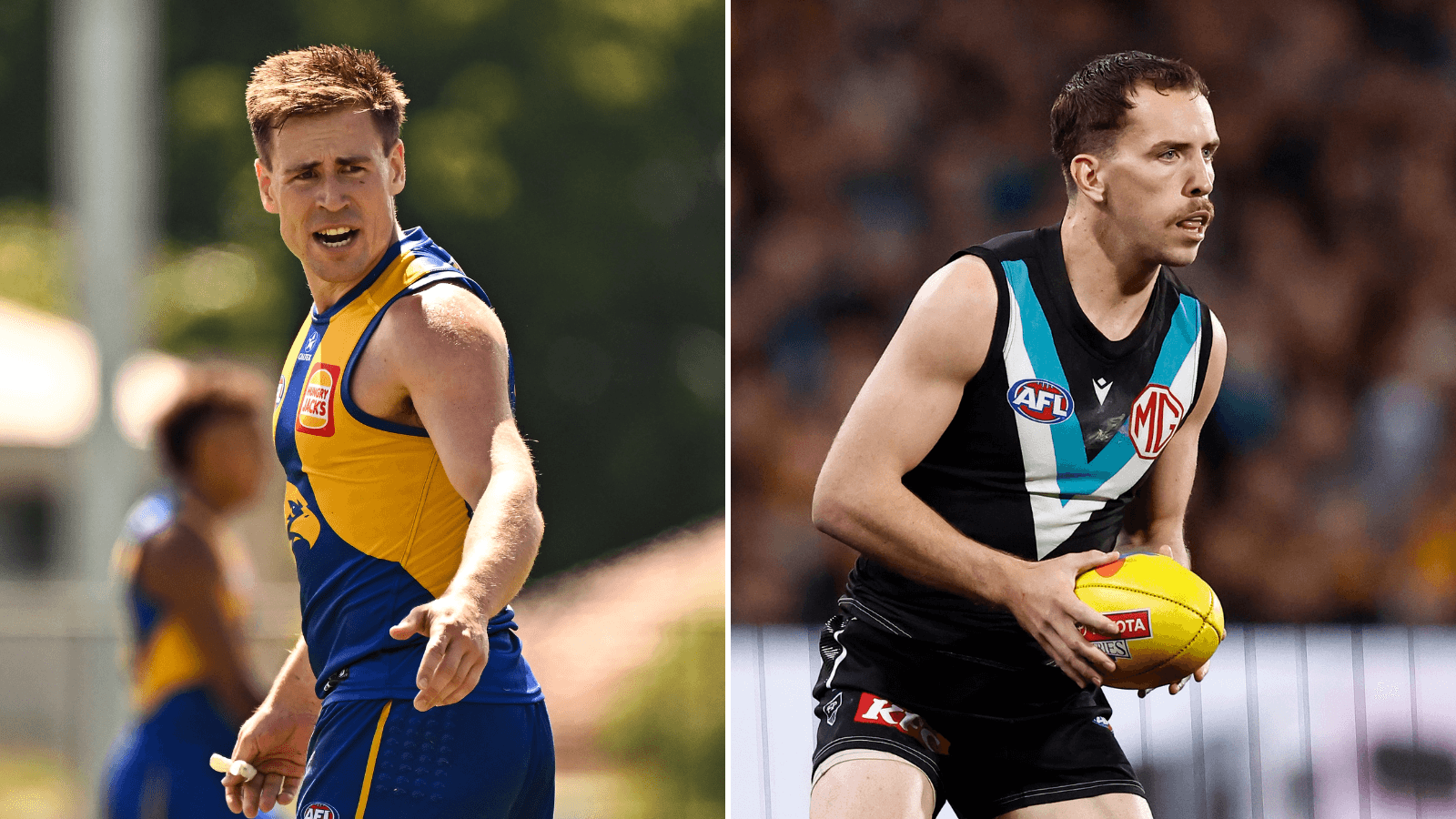 “Far superior footballer”: Carlton’s Owies trade resulting in Evans acquisition questioned