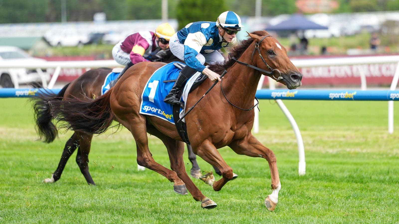 Jimmysstar proves too good in CF Orr Stakes