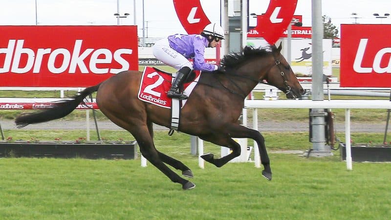 Tasracing's Friday best bets at Launceston (30/01)