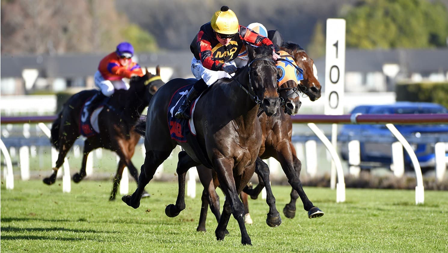 Force Of Nature chasing sprint feature