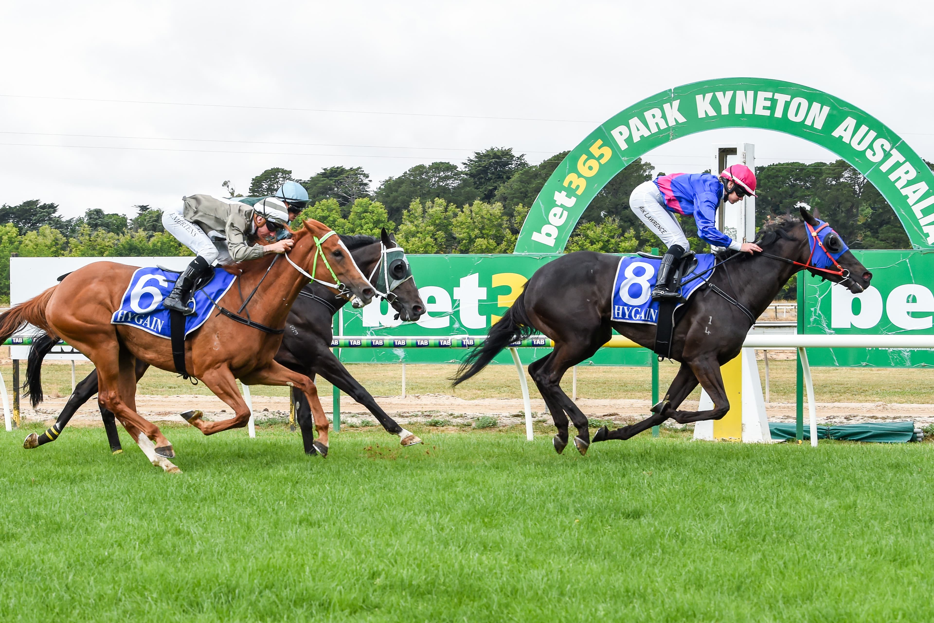 SENTrack: Wednesday best bets from Paul Sebastiani & Mick Gannon (06/11)