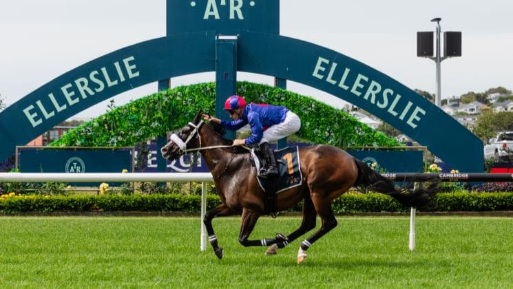 El Vencedor Crowned 2024-25 Sport Nation Horse of the Year