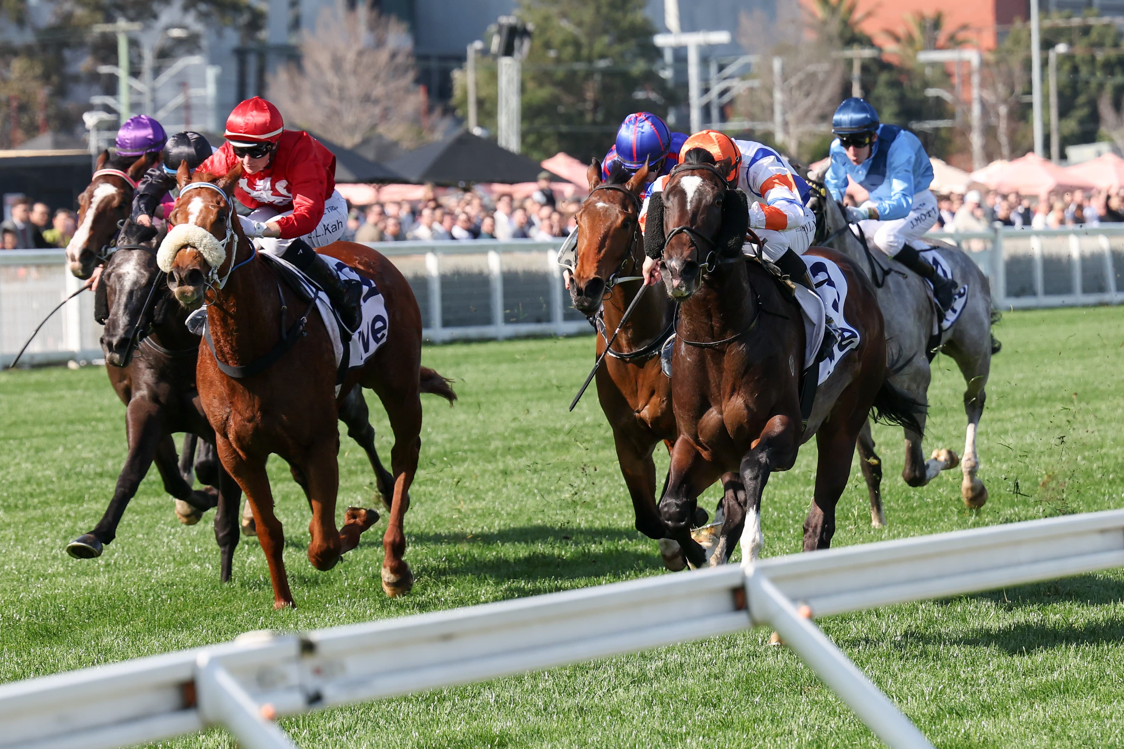 SENTrack: Thursday best bets from Cam Luke & Mick Gannon (12/12)