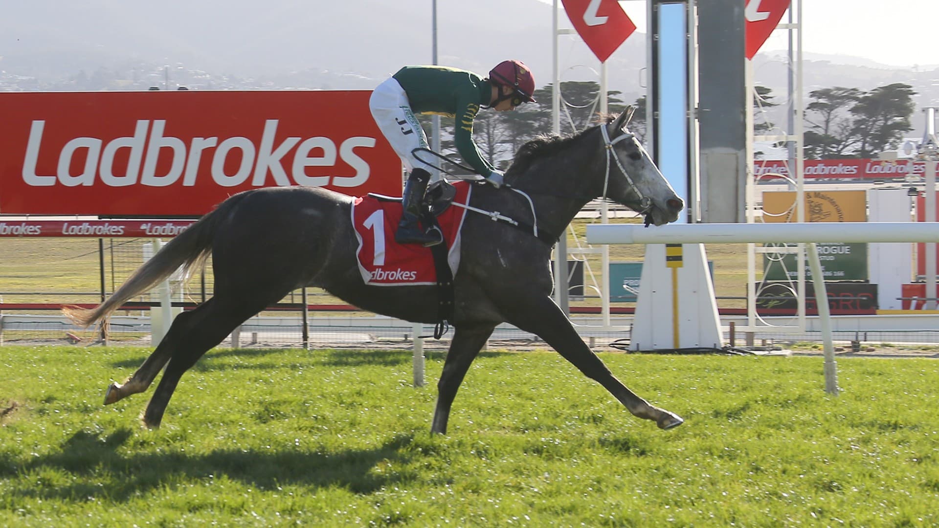 Tasracing’s Sunday best bets at Hobart (27/07)