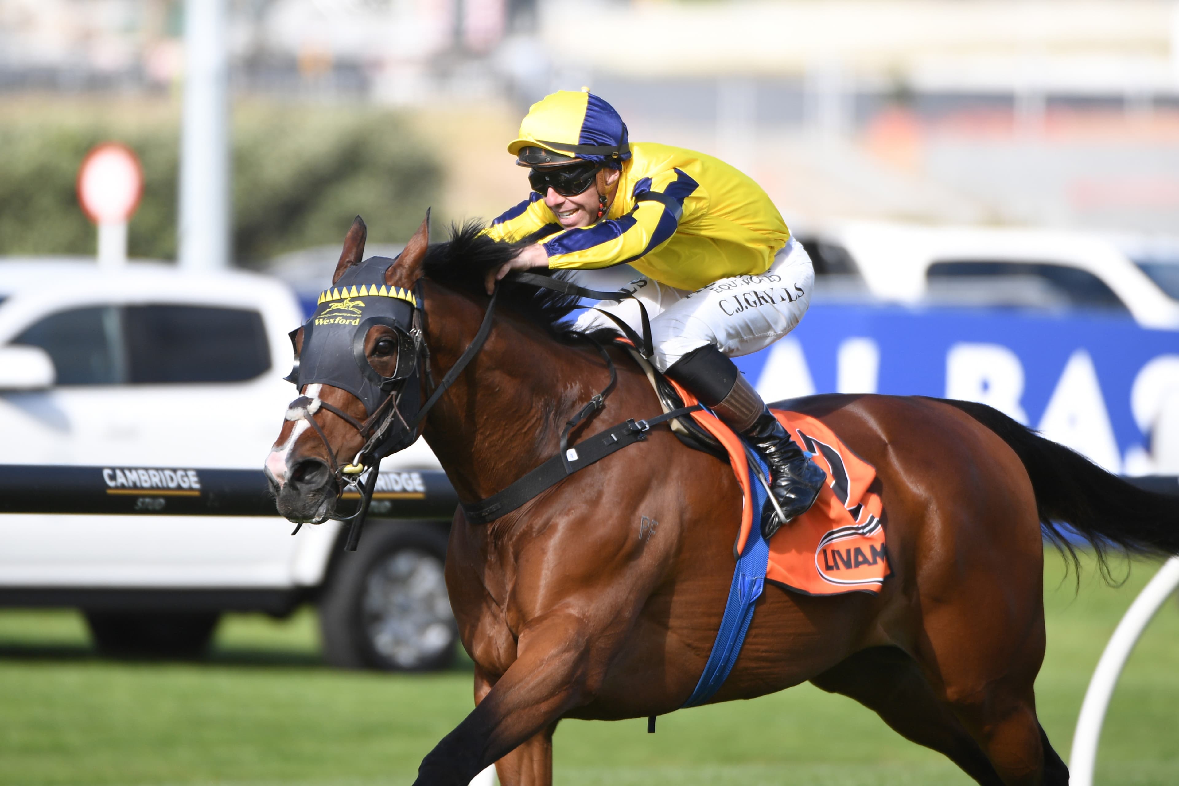 Livamol Classic and NZ 2000 Guineas retain Group One status