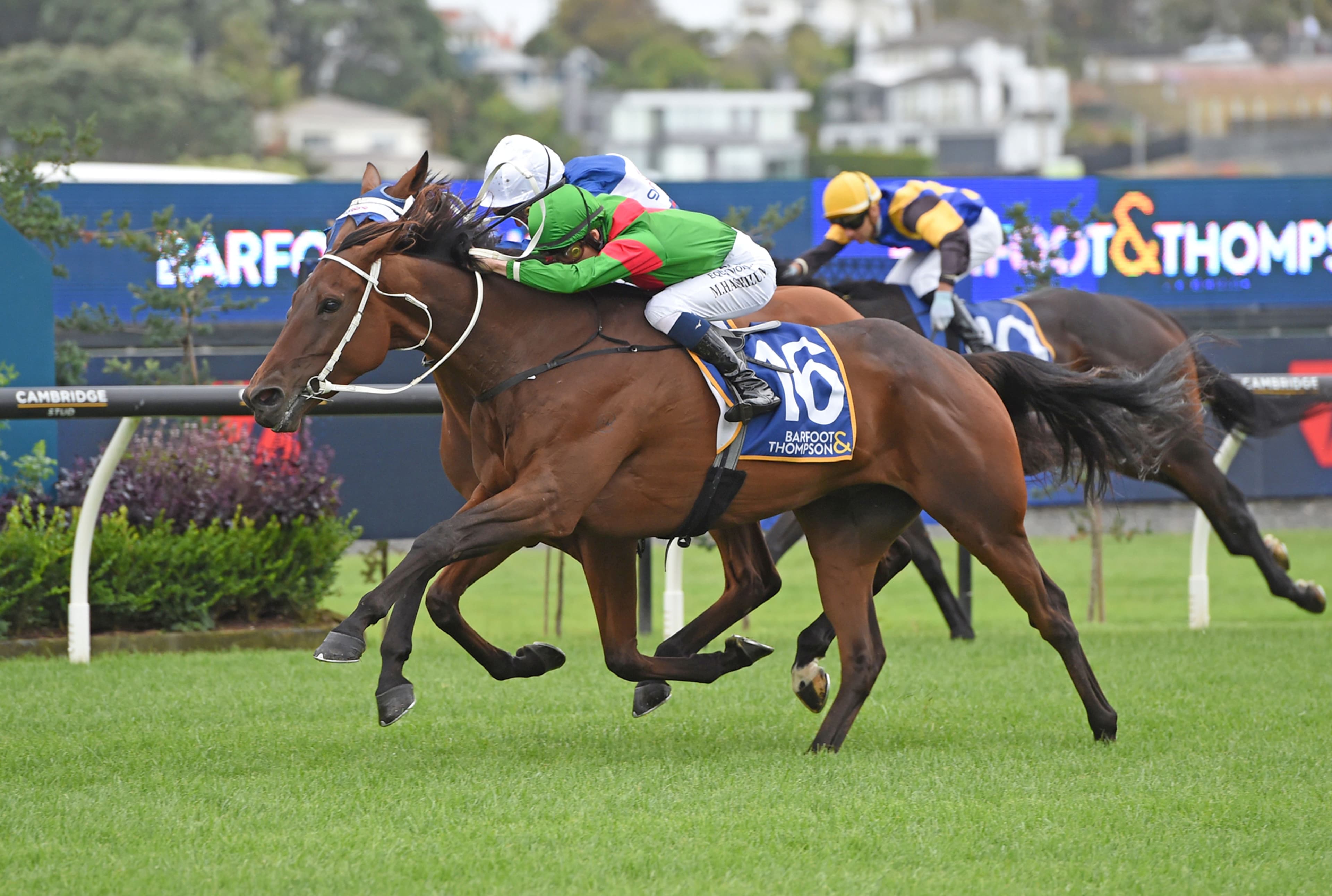 Trav seeking Cups redemption