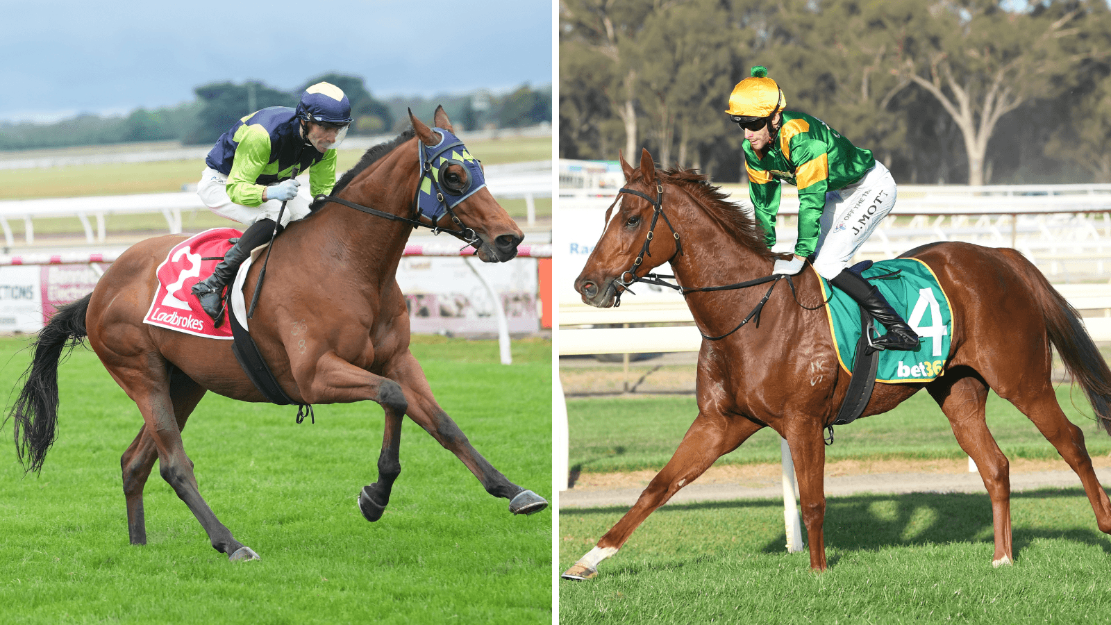 McArdle: Track conditions will decide Kilmore Cup