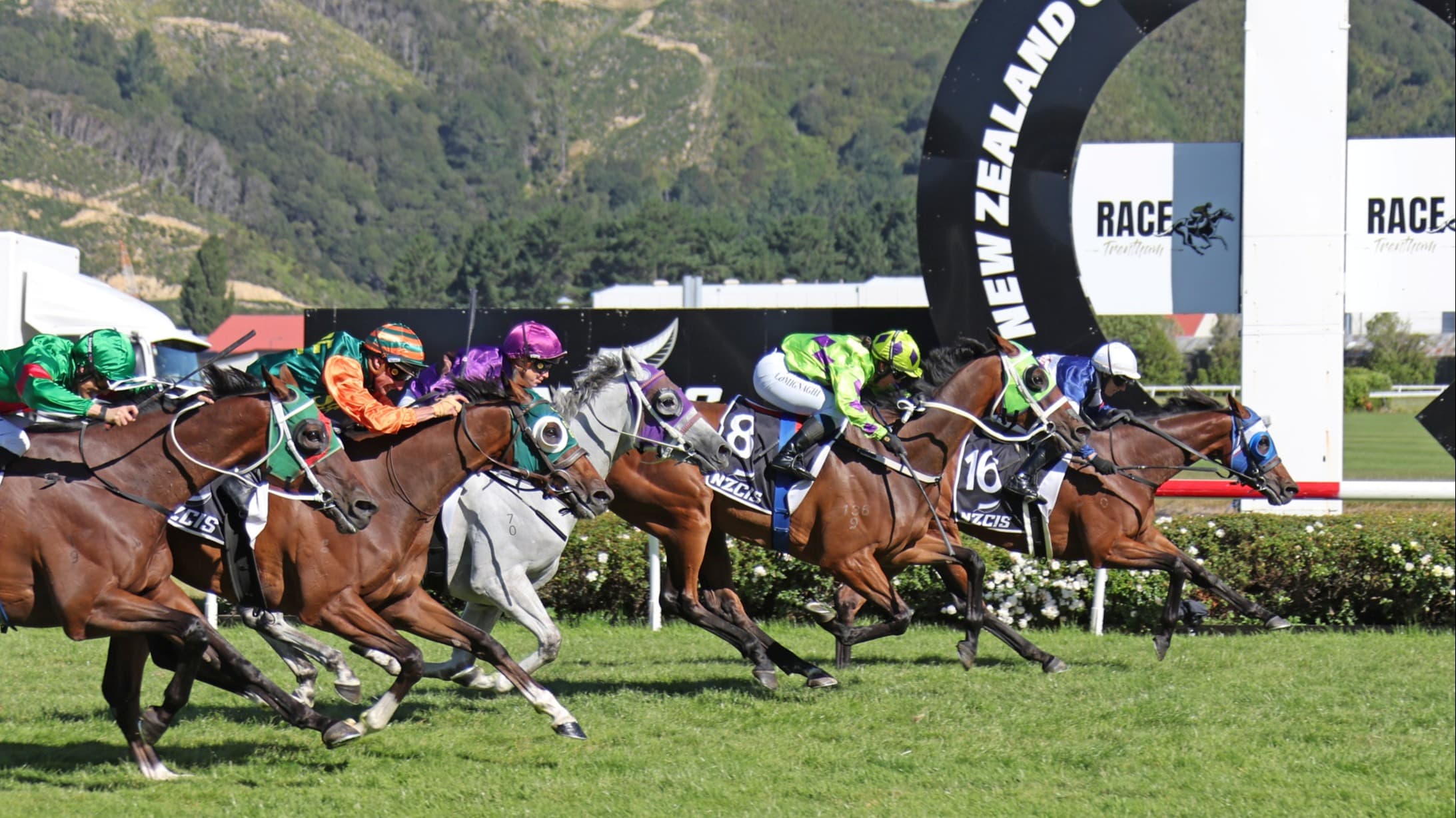 Melbourne Cup bid on the cards for Manzor Blue