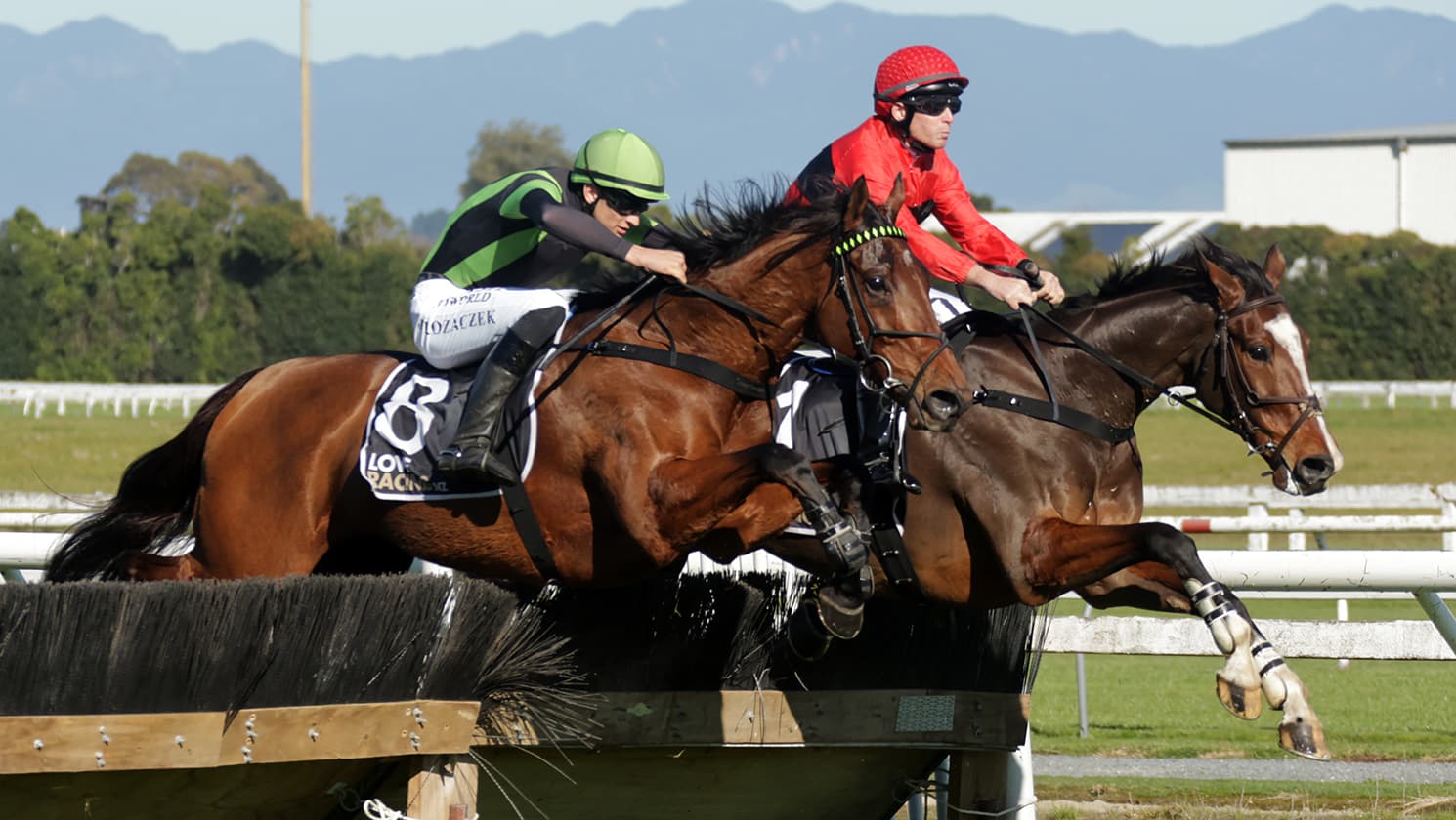 Pacheco takes out thrilling Waikato Hurdle