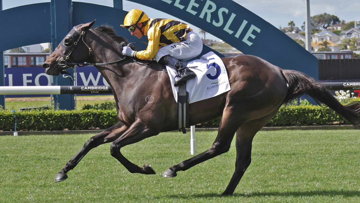 Moschino upsets at Ellerslie