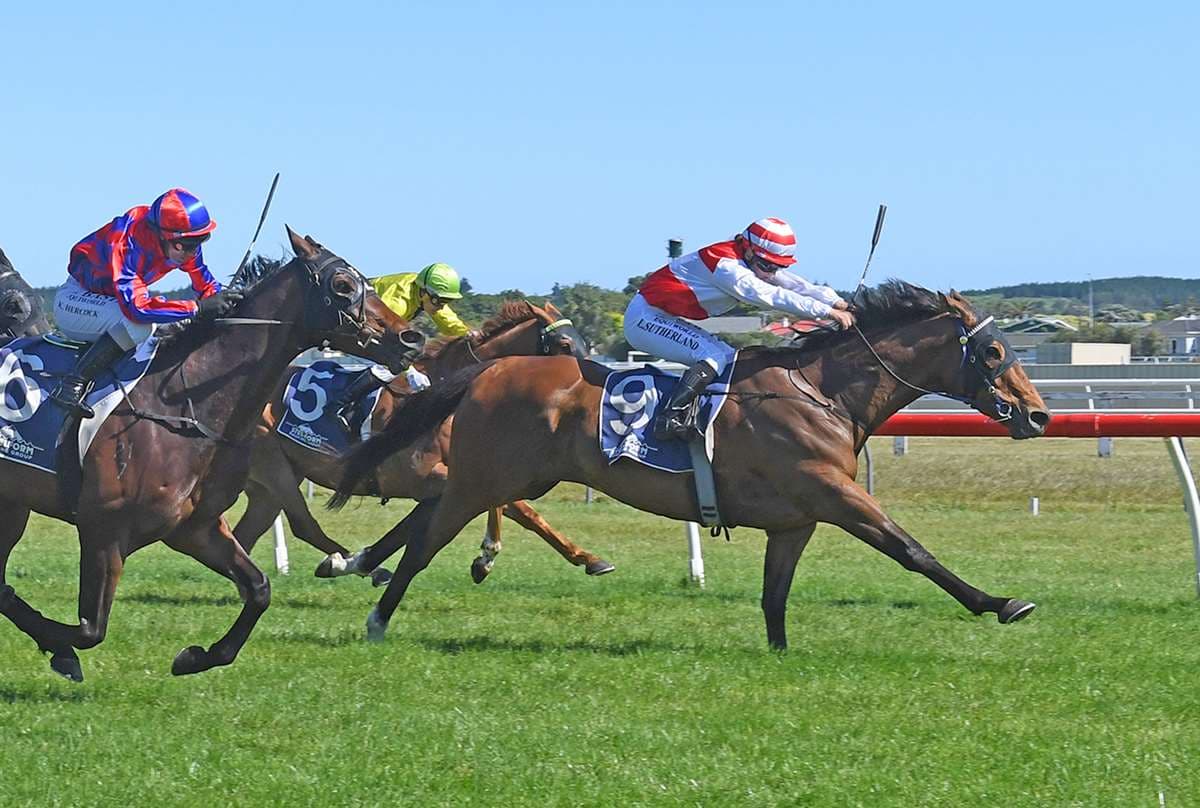 Trentham to decide future paths of stablemates