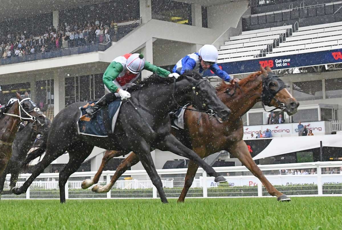 Meaningful Star looking to defend Group Three crown