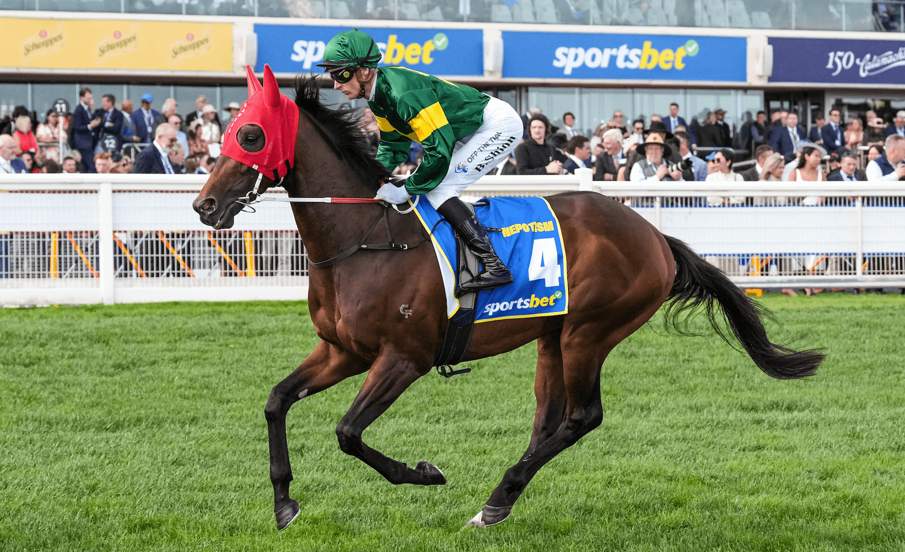 Perceived lack of Cox Plate quality opens door for $21 roughie
