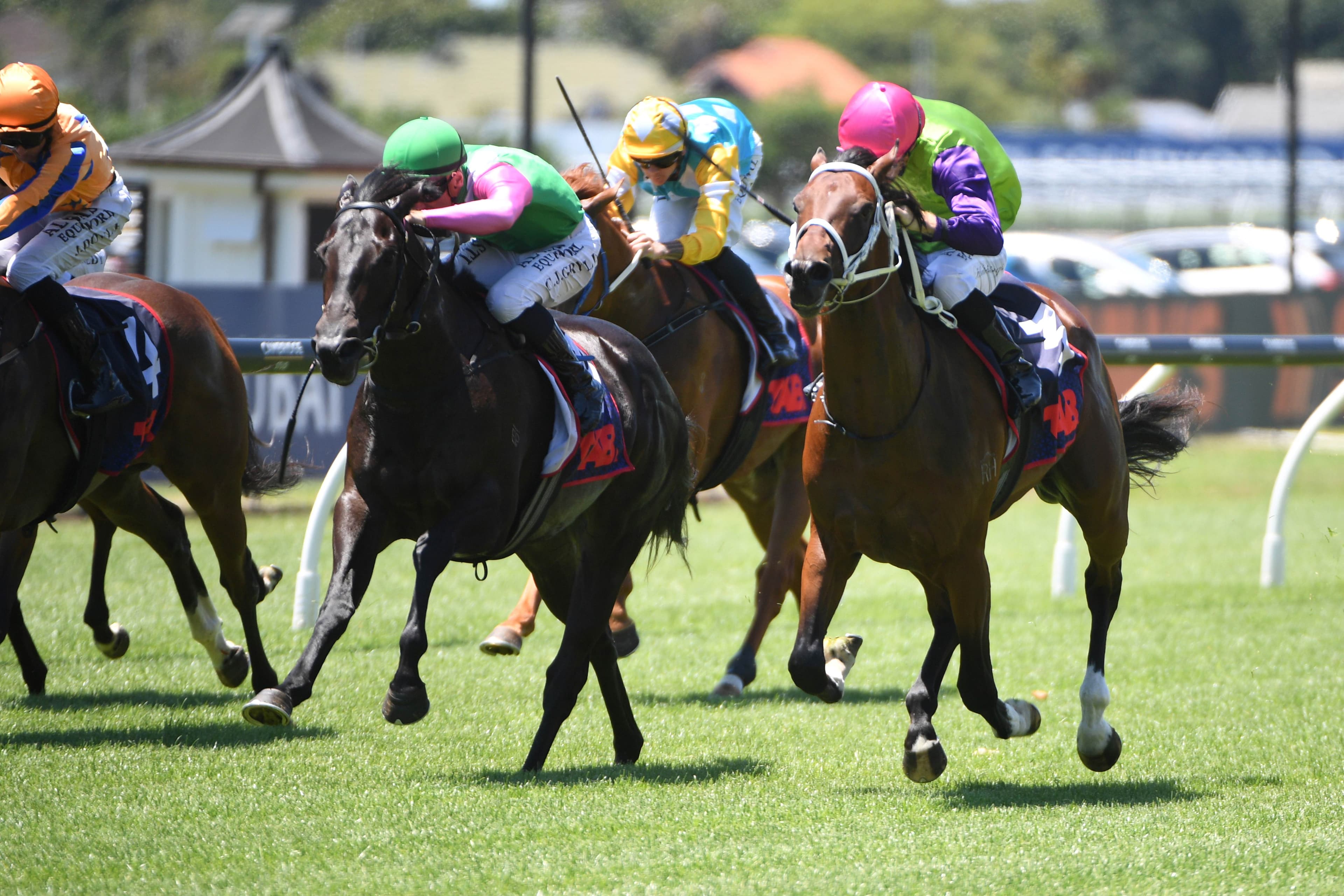 Singletary chasing turnaround in Guineas