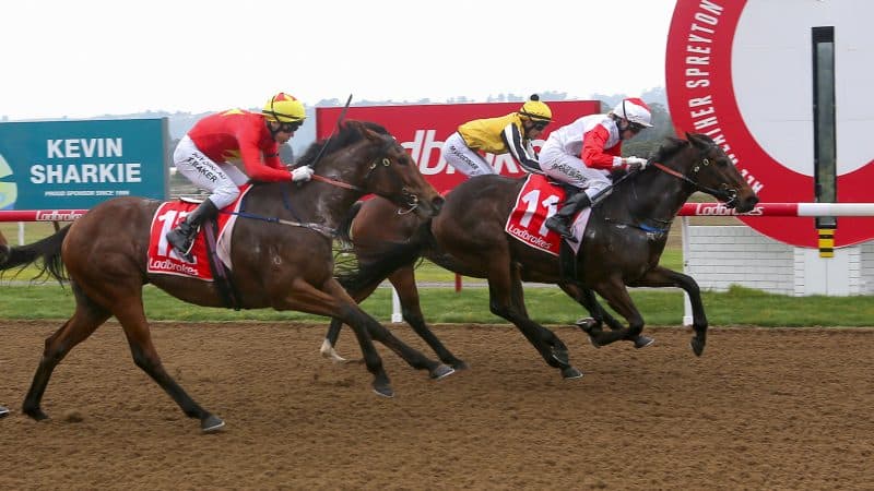 Tasracing's Sunday best bets at Devonport (21/09)