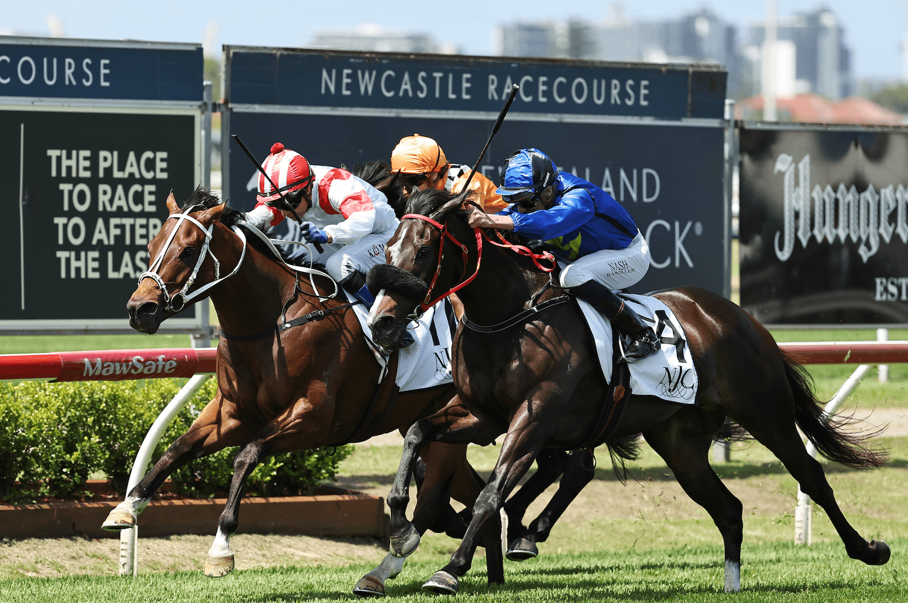 Friday best bets from Pfitzner & Gannon (06/03)