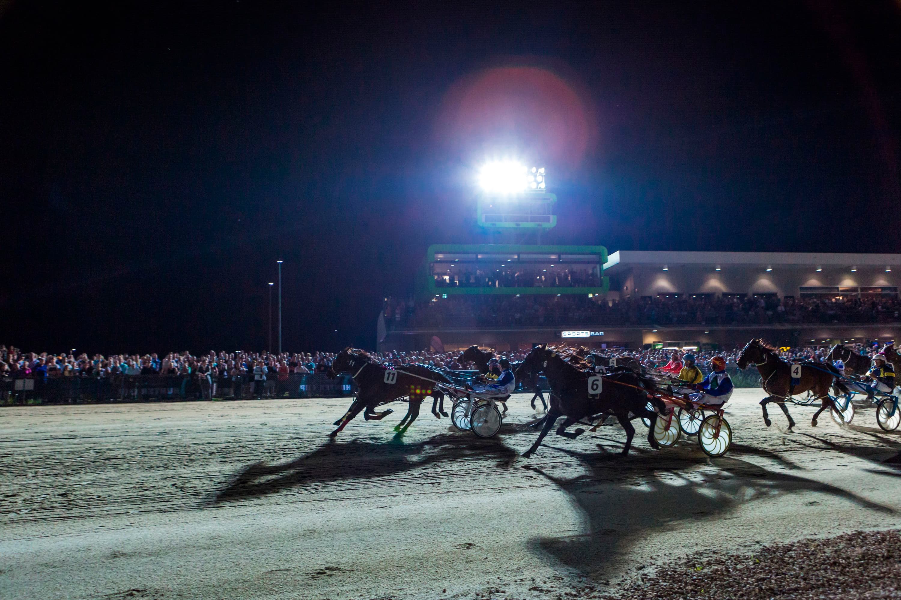 HRV announces $2.75m Vicbred owning and breeding boost