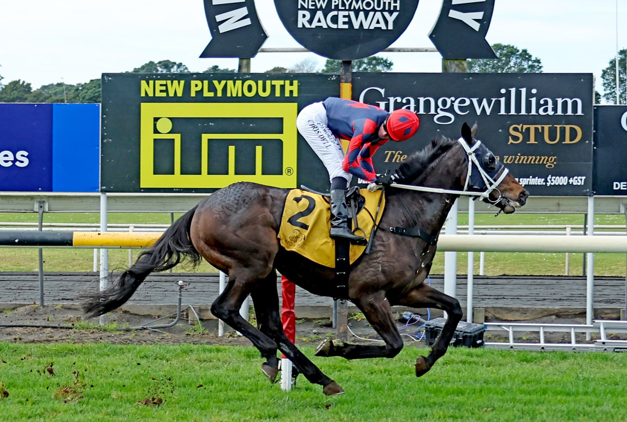 Ayteem dominant at New Plymouth