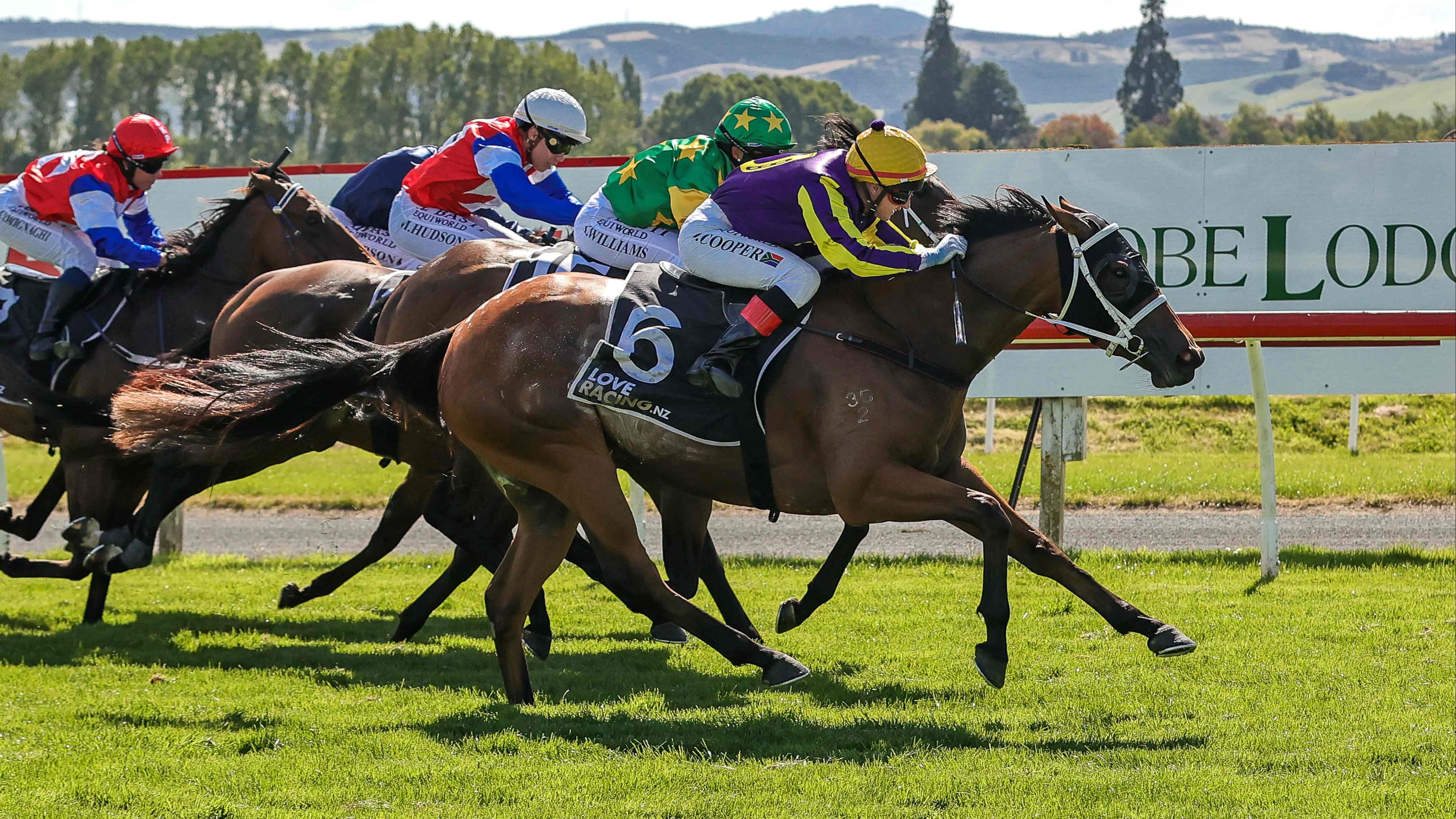 Southern Guineas double for Hello Hayley