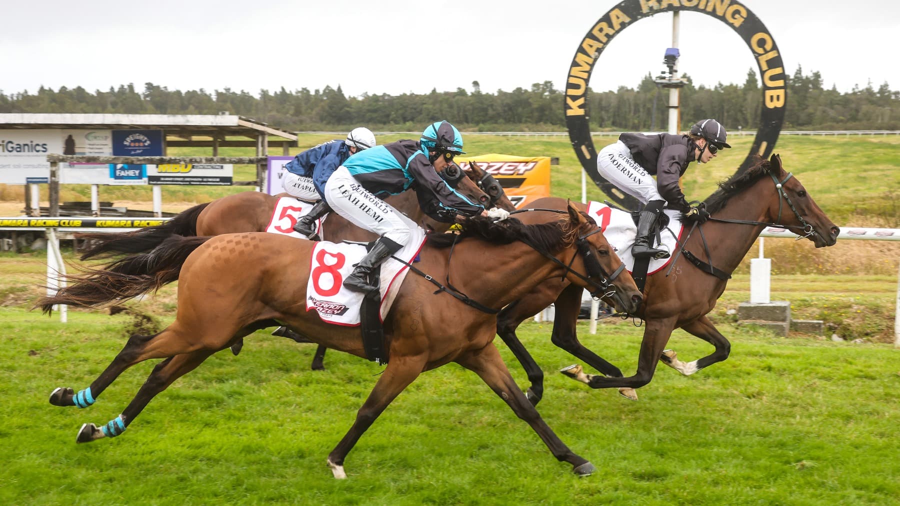 New Zealand Cup winner captures the gold at Kumara