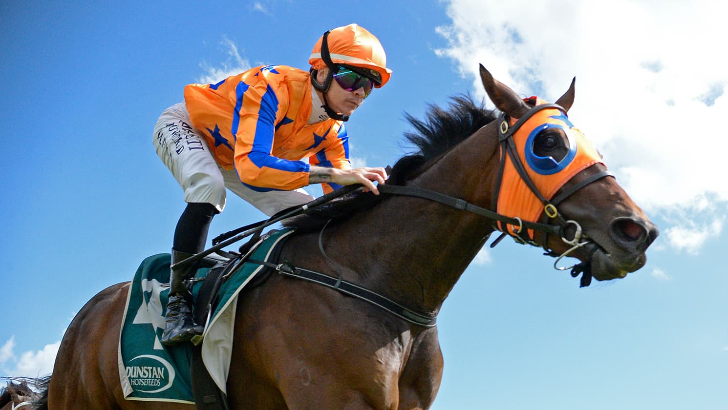 Qali Al Farrasha on top in Breeders’ Stakes