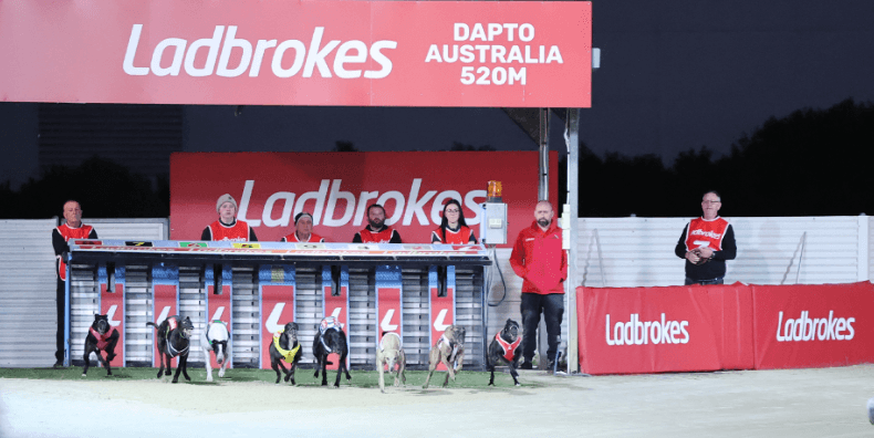 Runner-by-runner preview for the last ever Megastar at Dapto