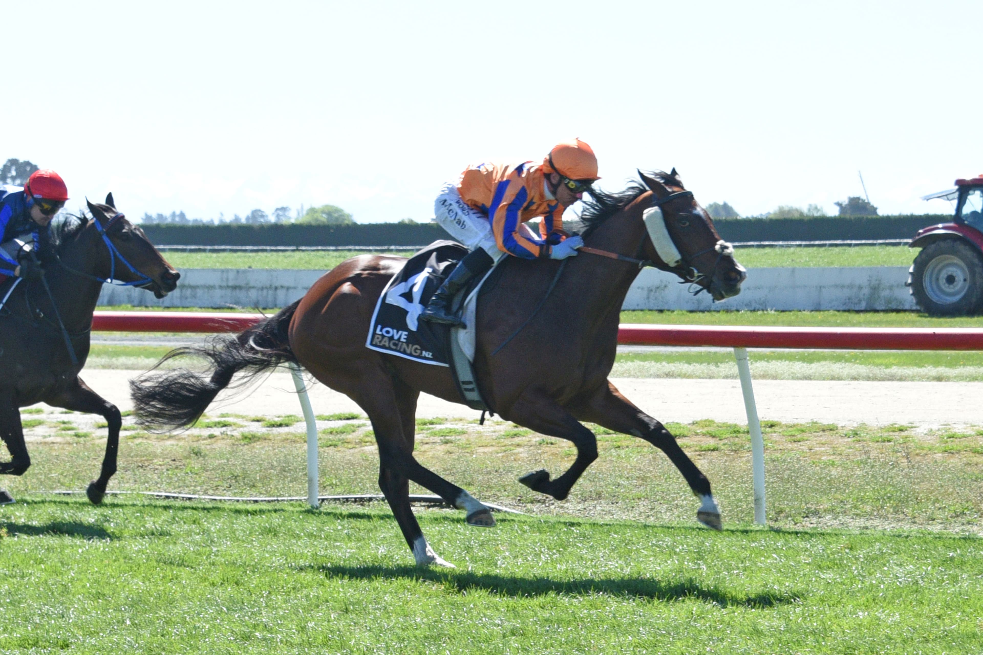 Te Akau’s Riccarton arsenal firing ahead of NZ Cup Week