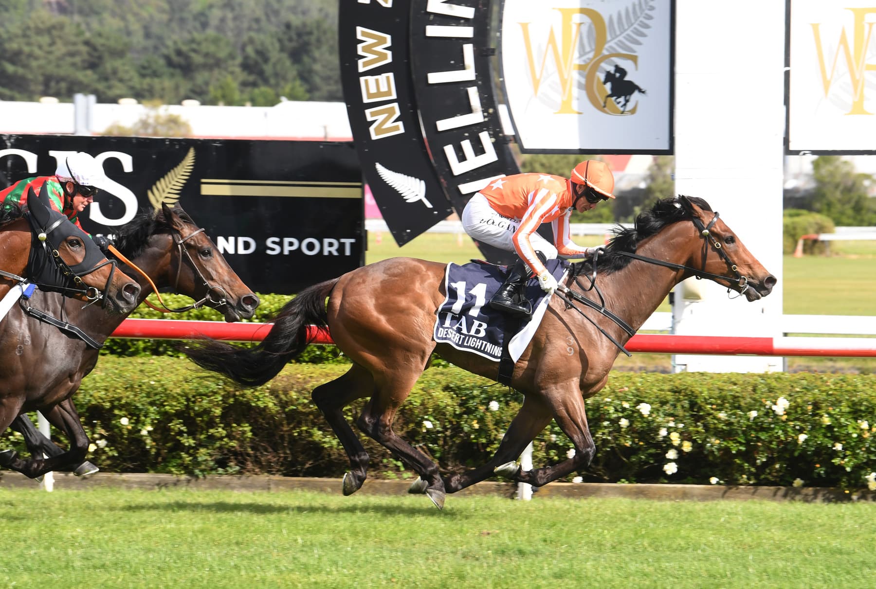 Barneswood hoping Desert Lightning can strike in Stradbroke