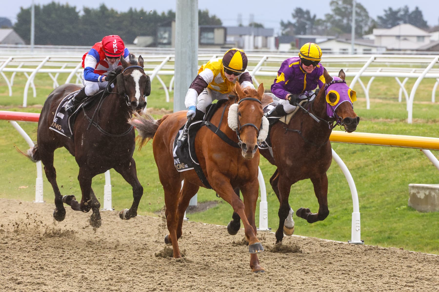 Telperion mare ready to turn fortunes around