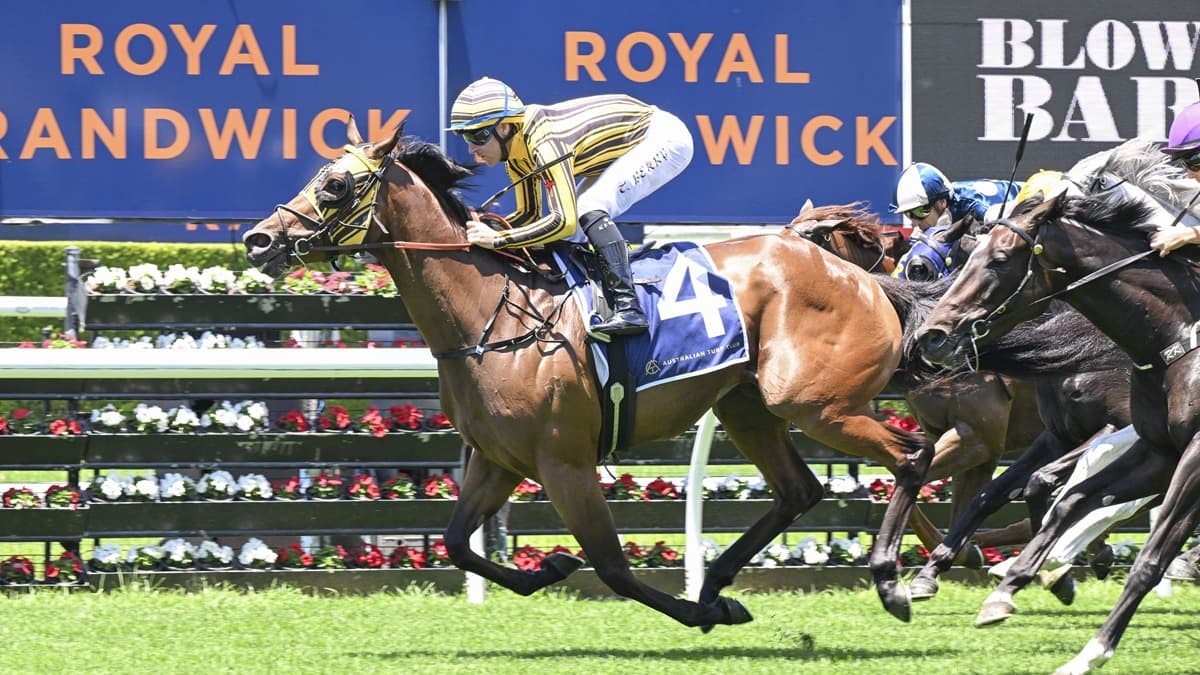 Hyperbolic cruises to Randwick success